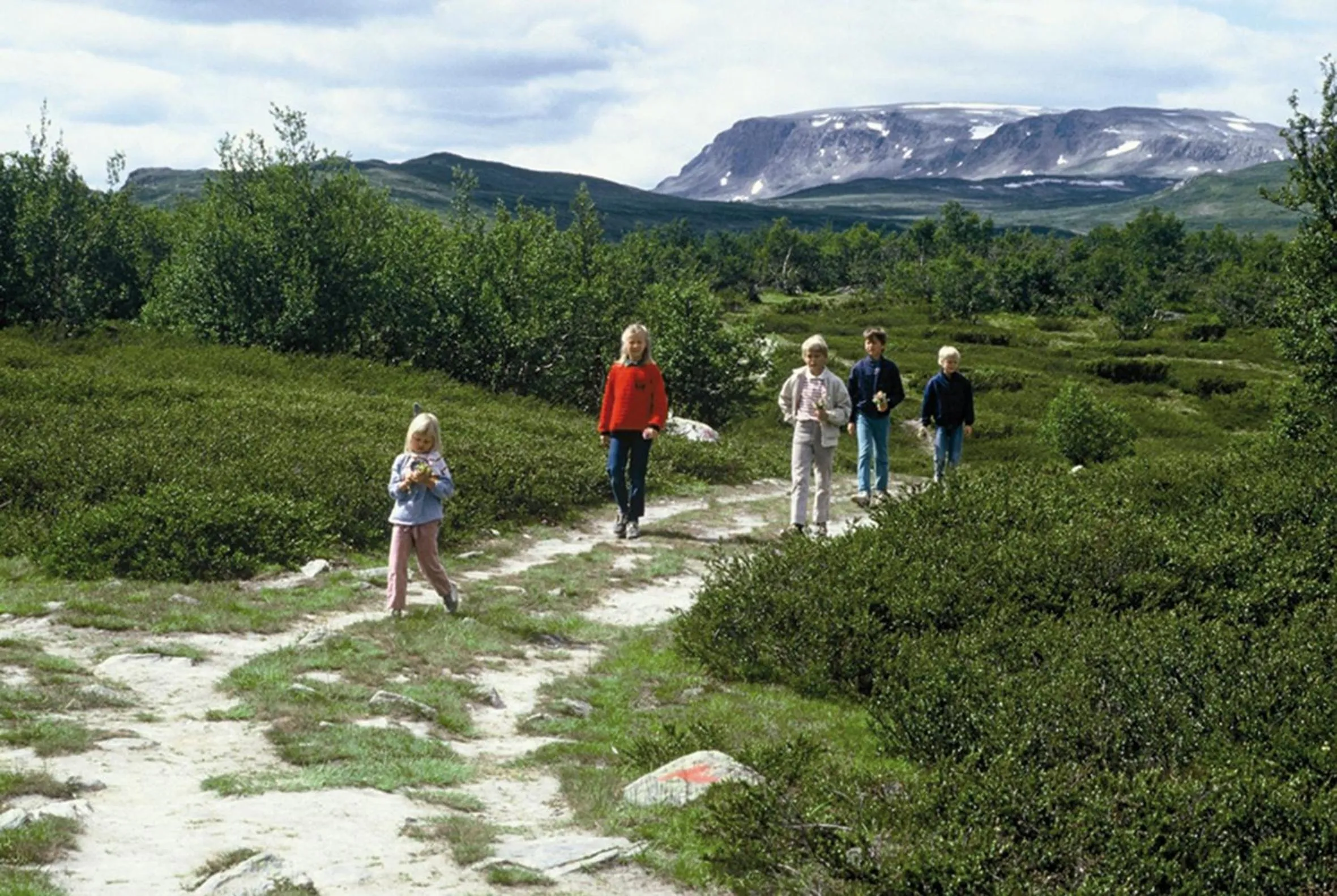 Activities in Lia Fjellhotell