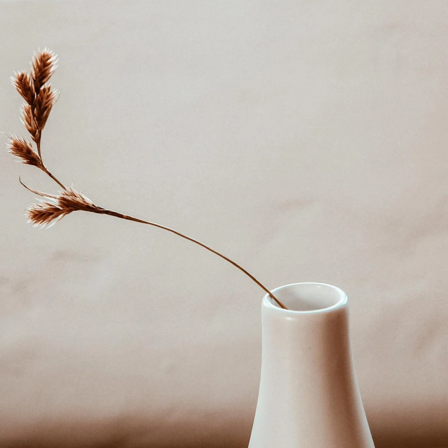 Decorative detail in Stanley Island