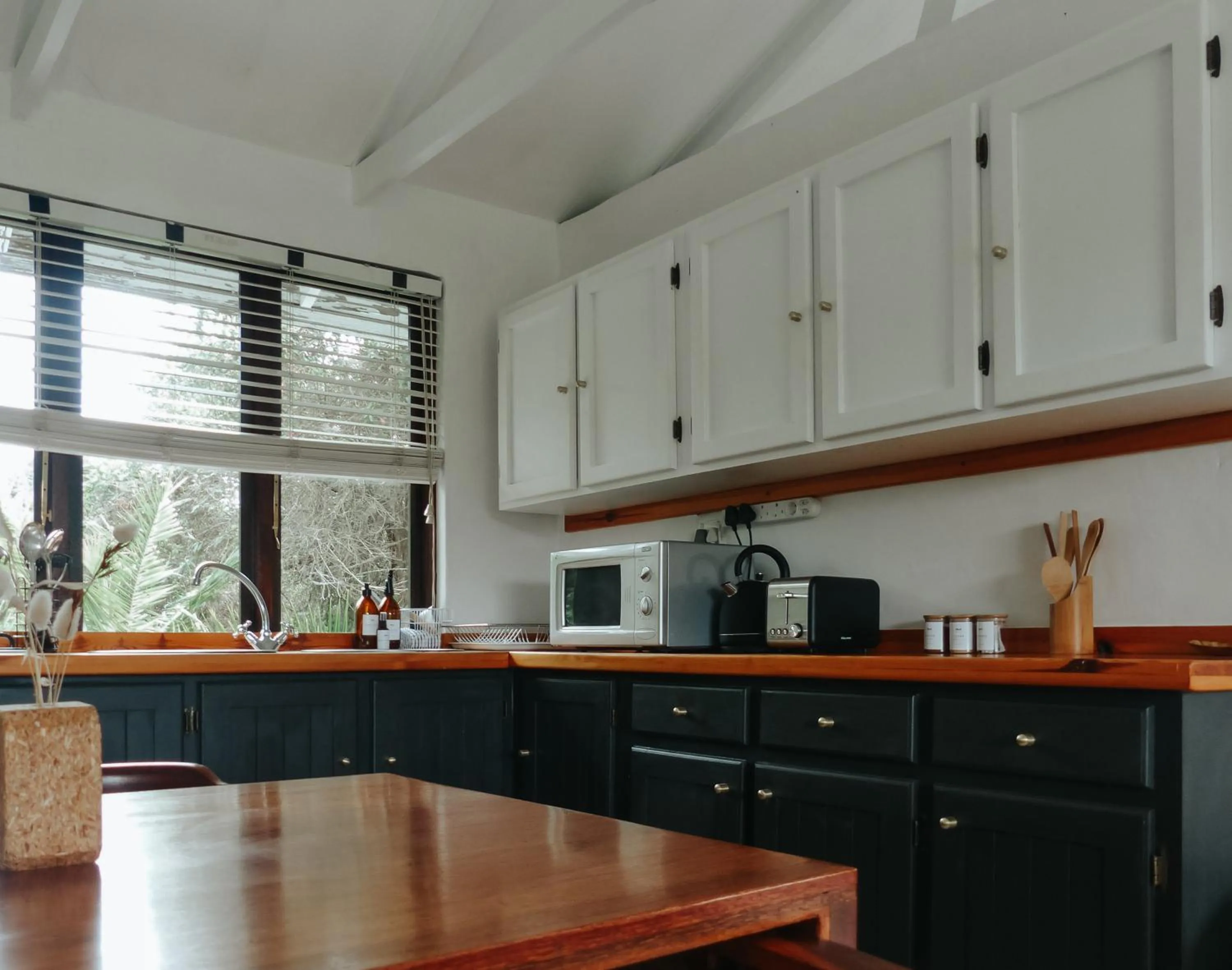 Kitchen or kitchenette in Stanley Island