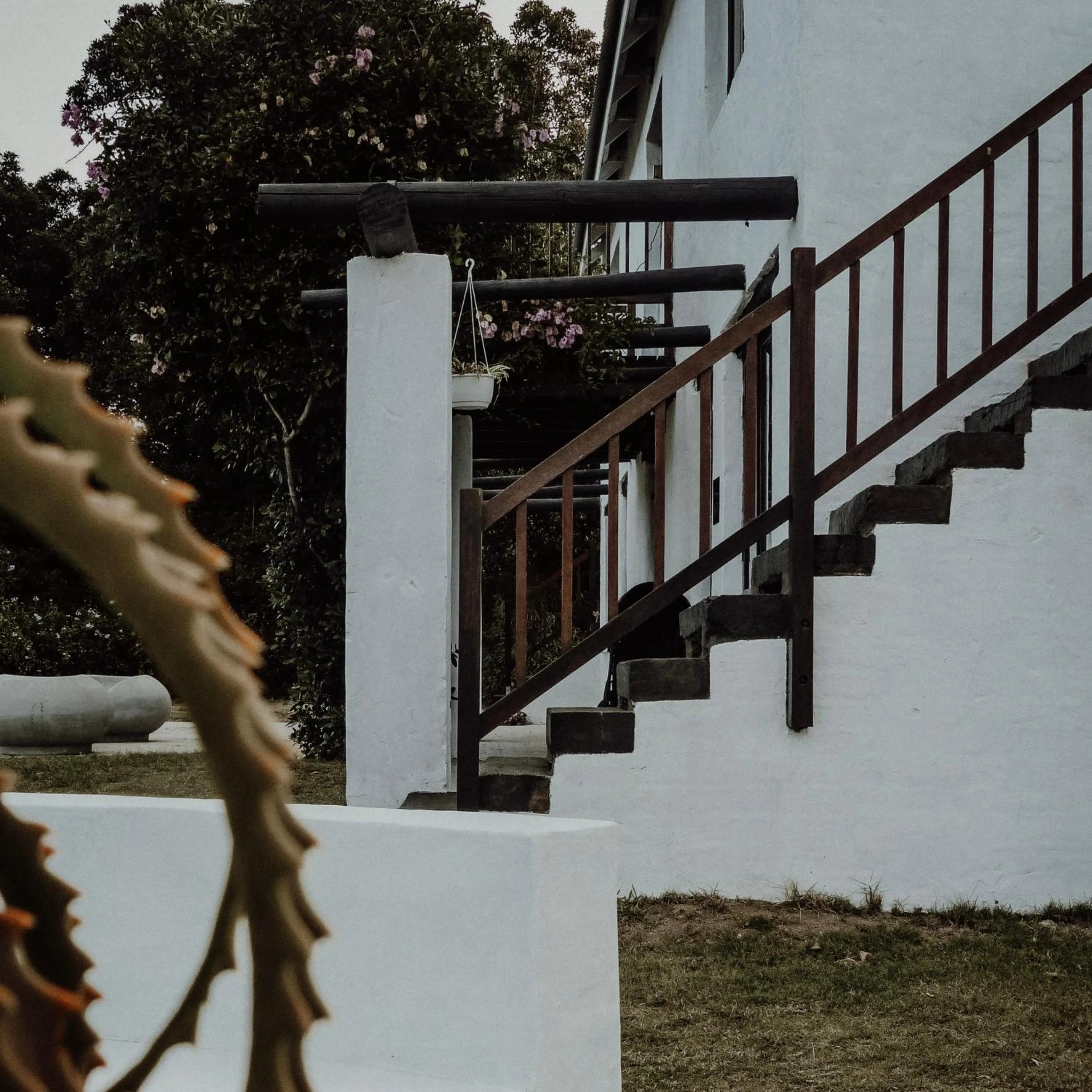Property building in Stanley Island