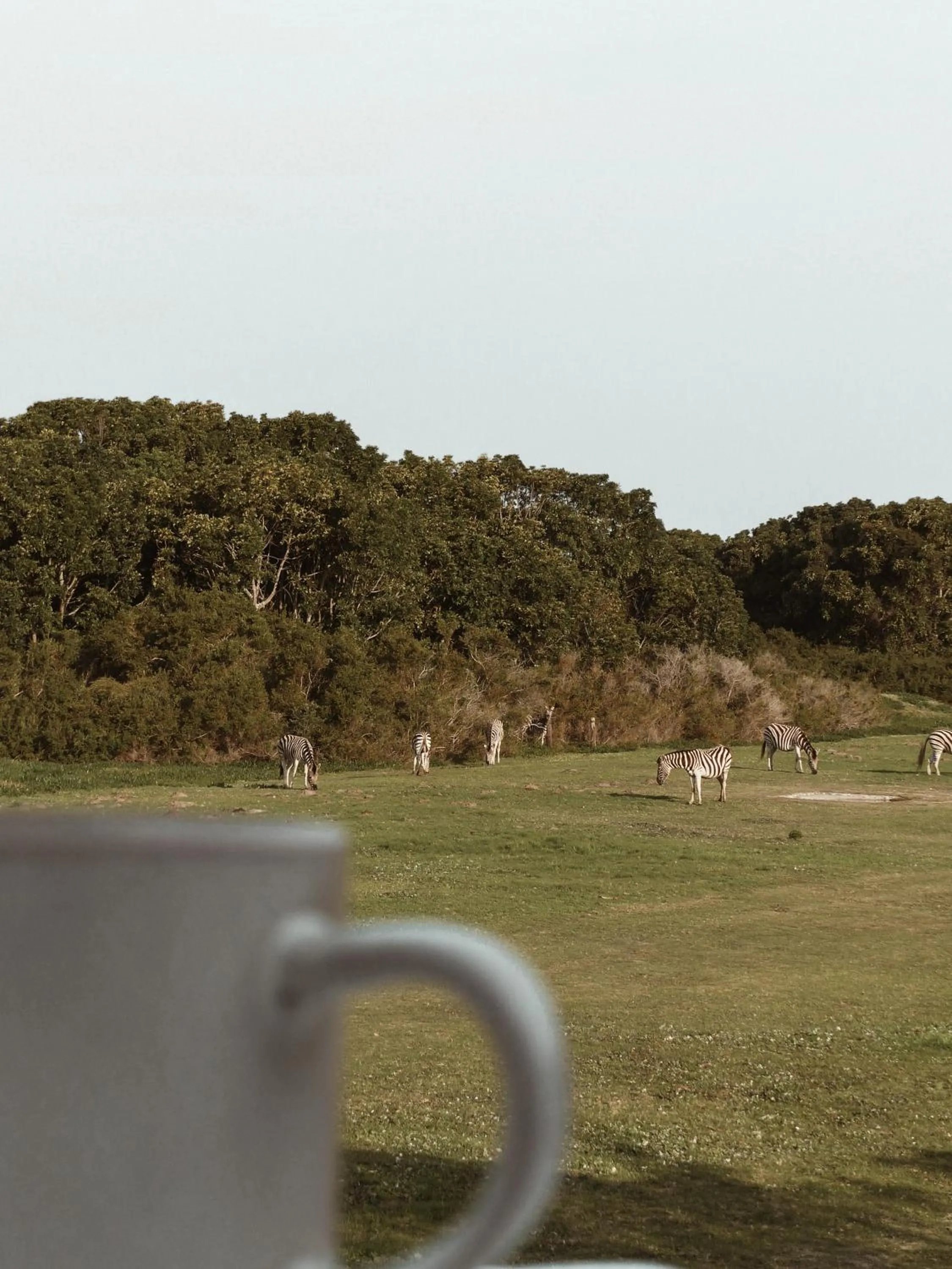 View (from property/room) in Stanley Island