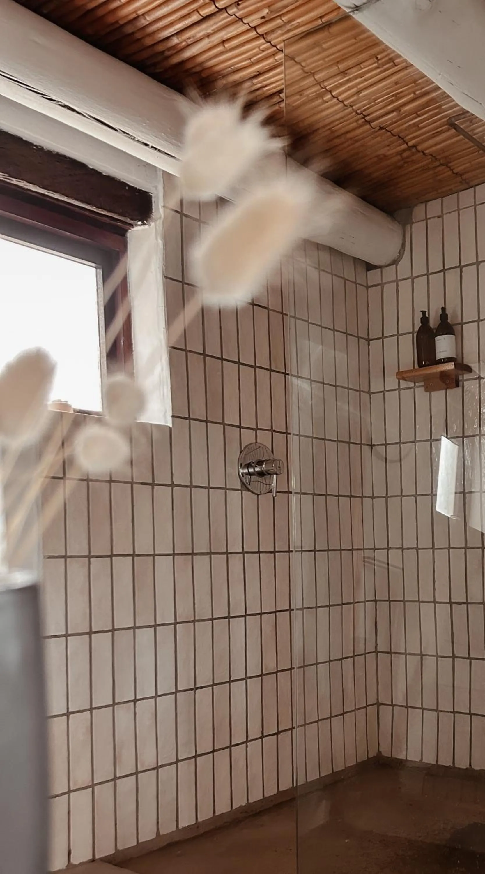 Shower in Stanley Island