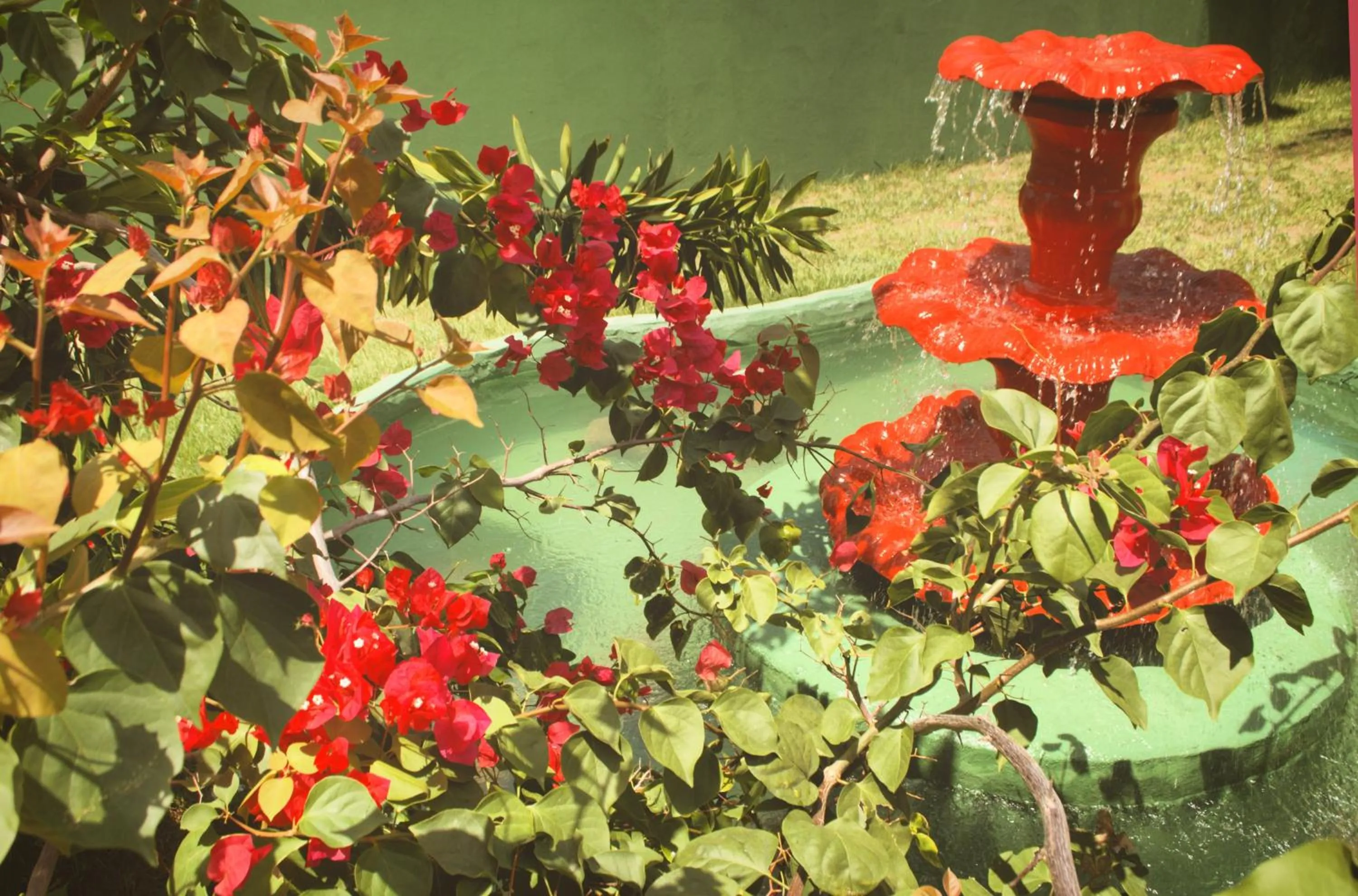 Day in Naquela Jericoacoara