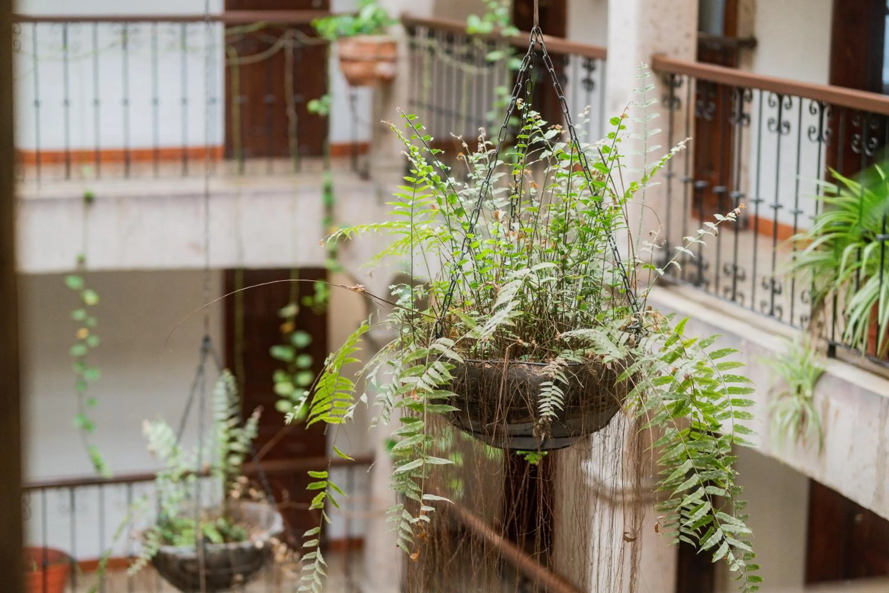Hotel Don Quijote Plaza - Guadalajara Centro Historico