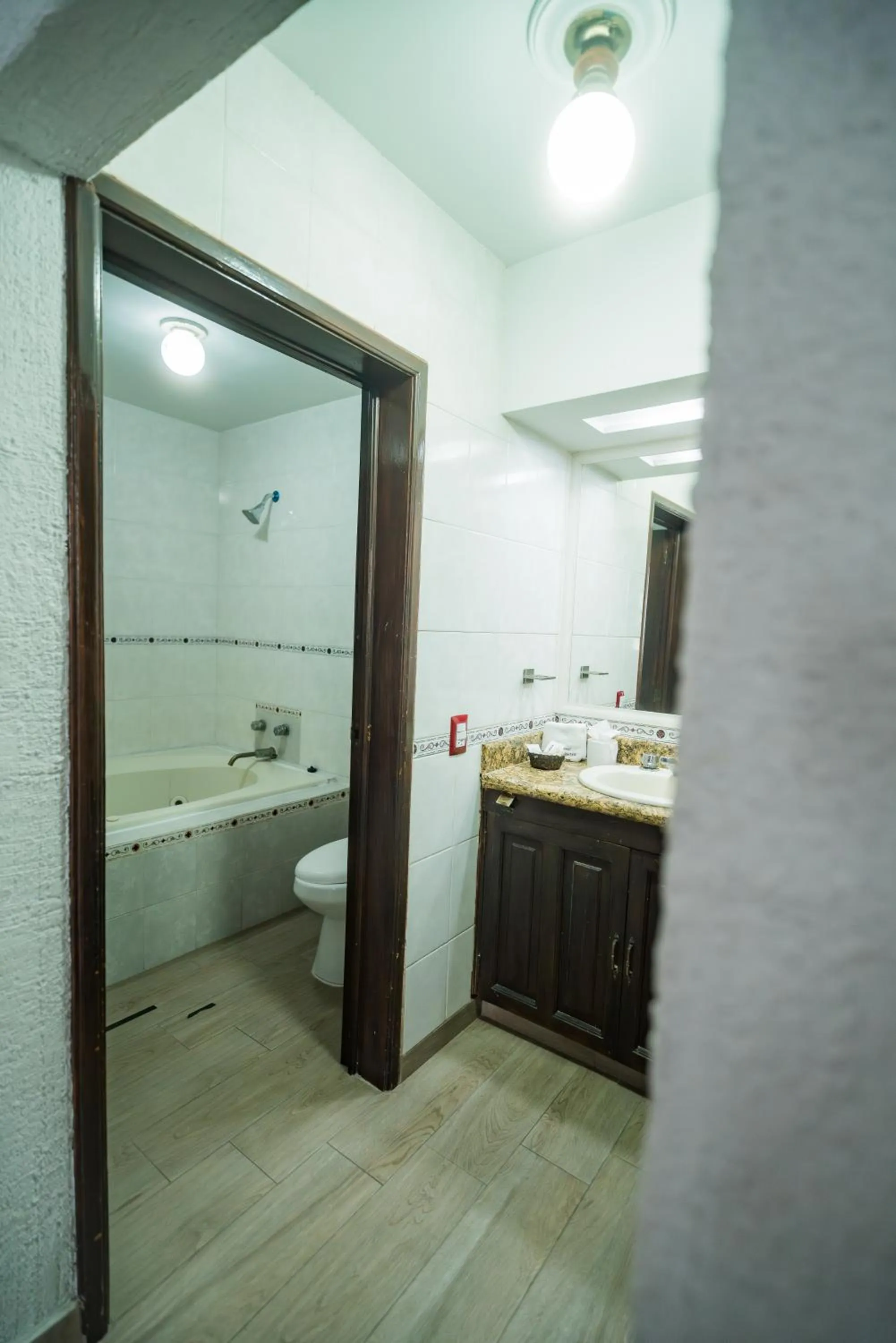 Hotel Don Quijote Plaza - Guadalajara Centro Historico