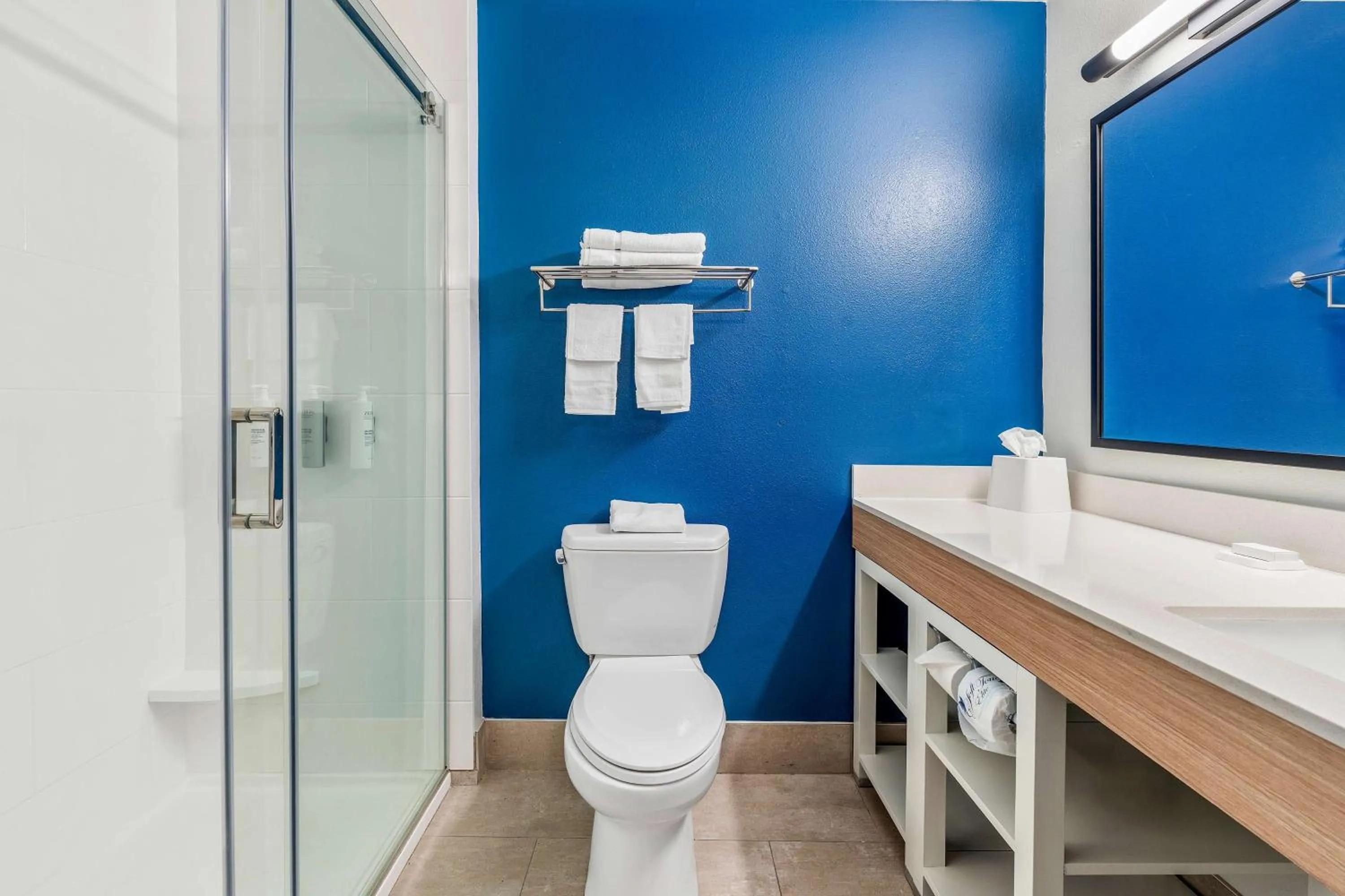 Bathroom in Comfort Inn & Suites Saint Augustine