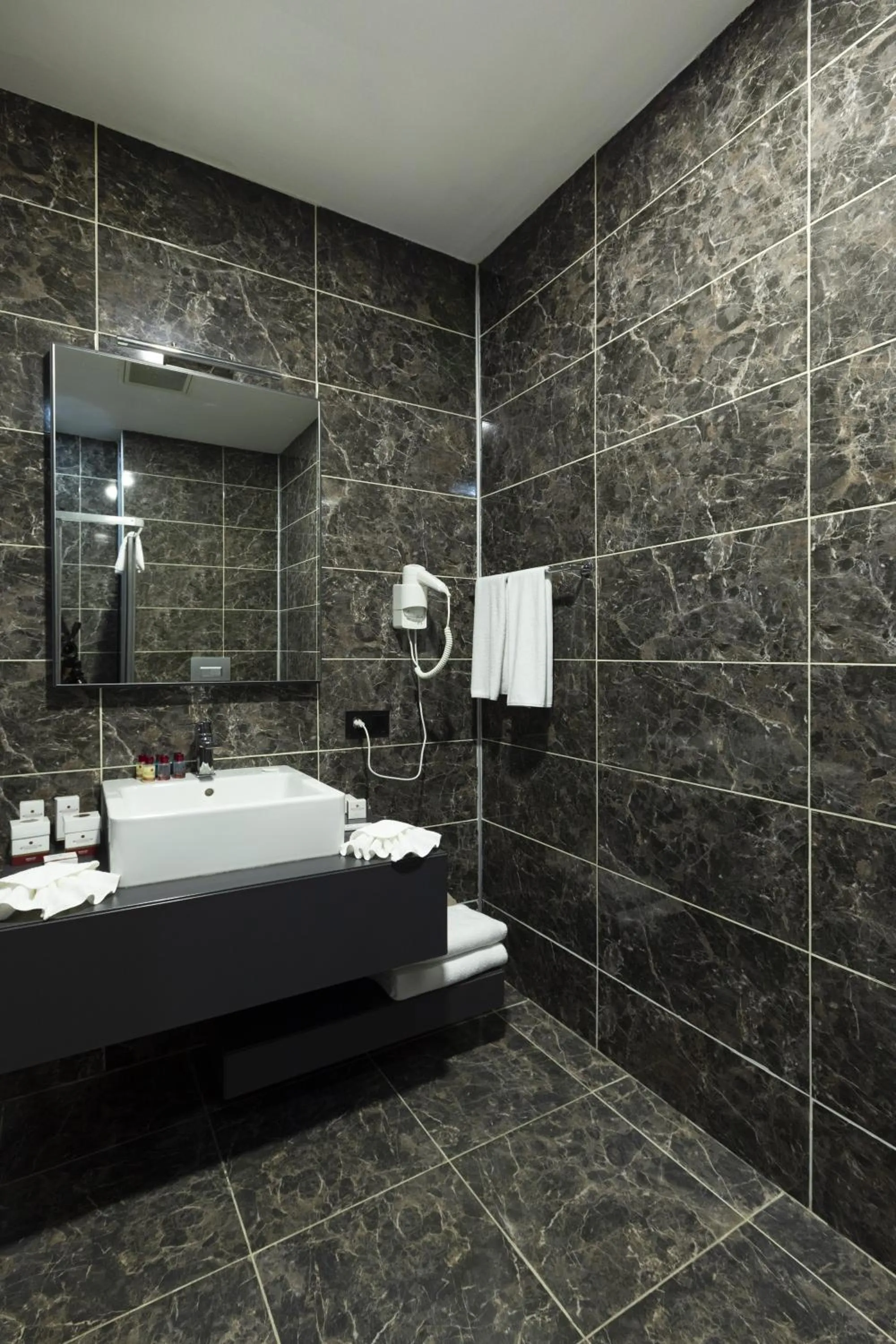 Shower in Euphoria Apartments