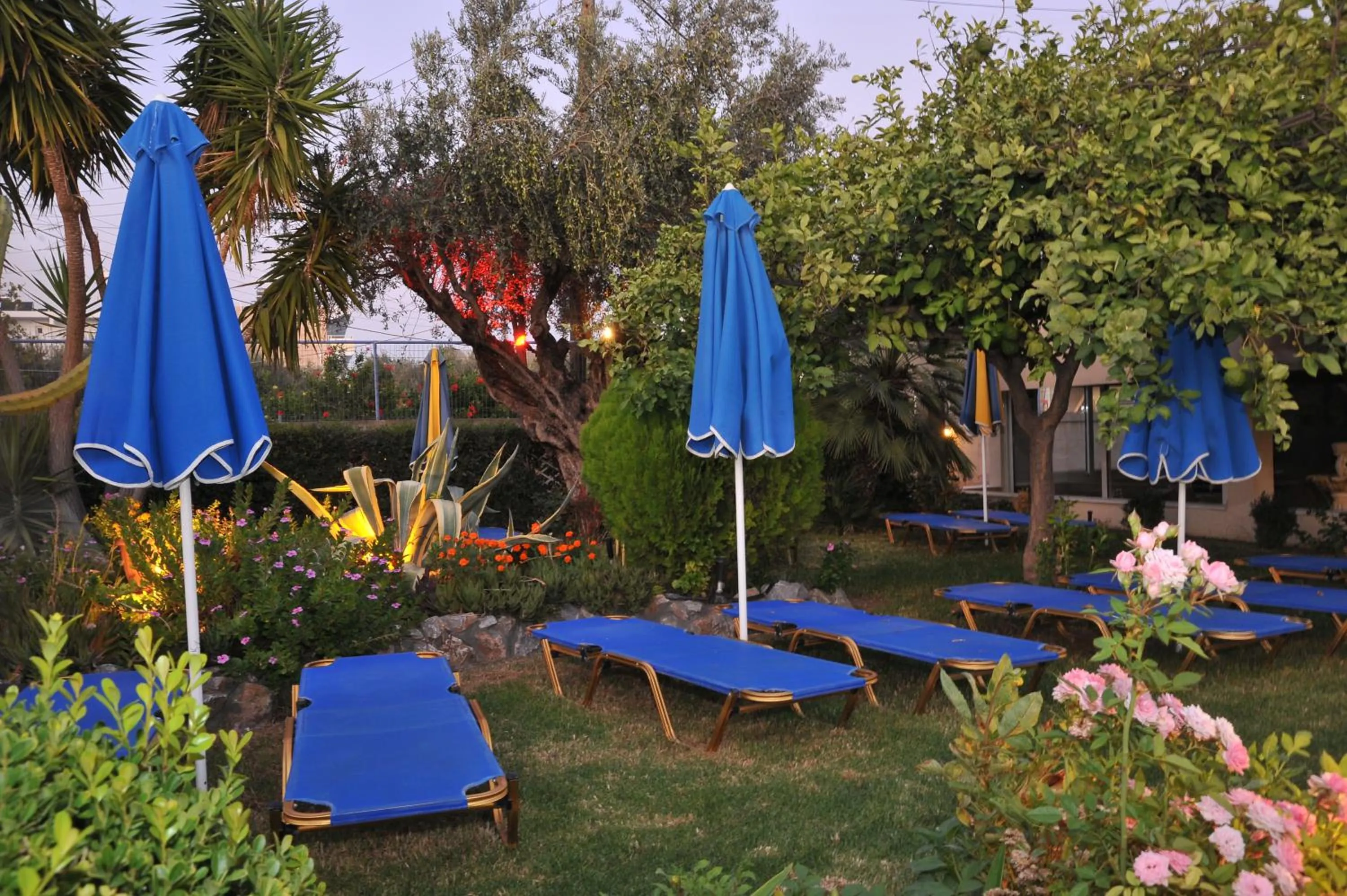 Garden in Argiro Village