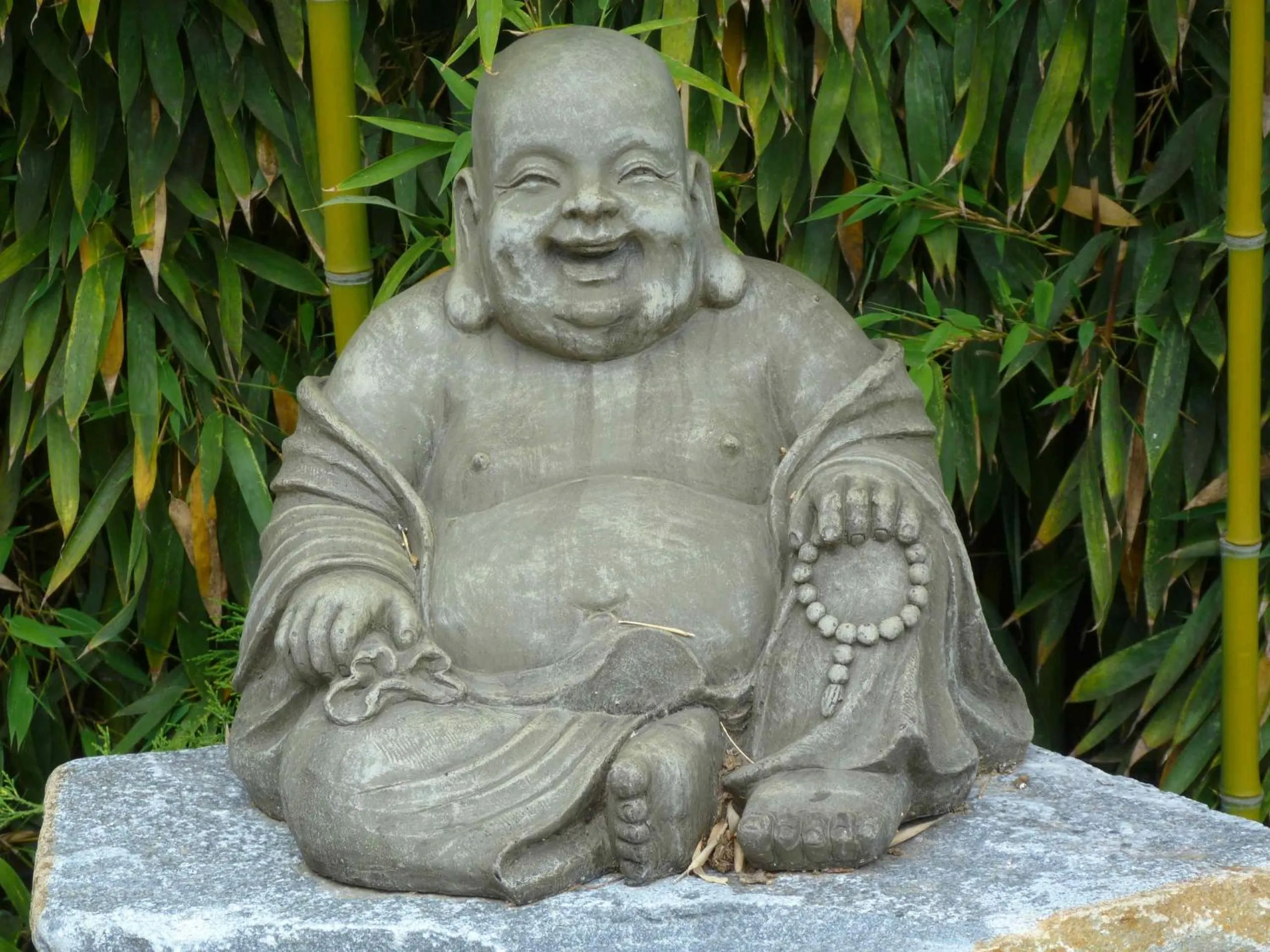 Garden in Les Bambous B&B