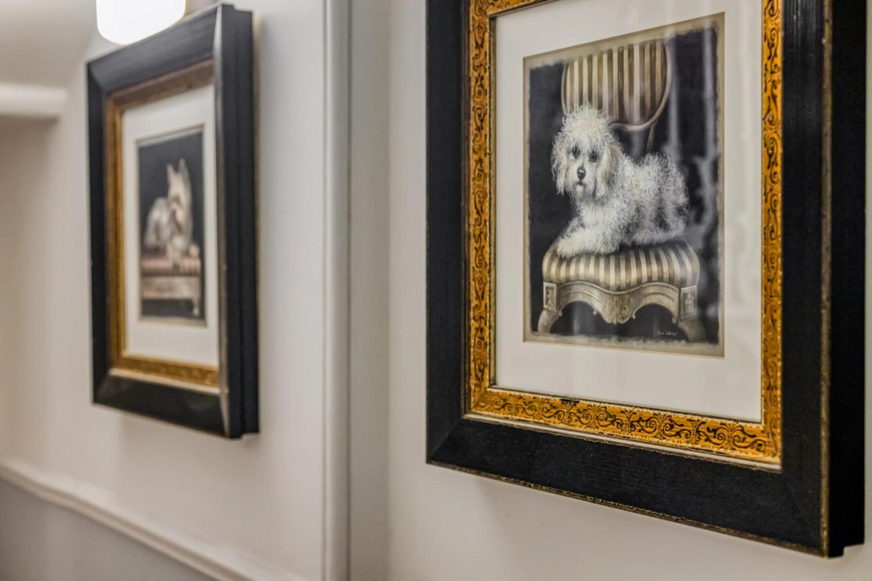 Opulence Boutique Hotel