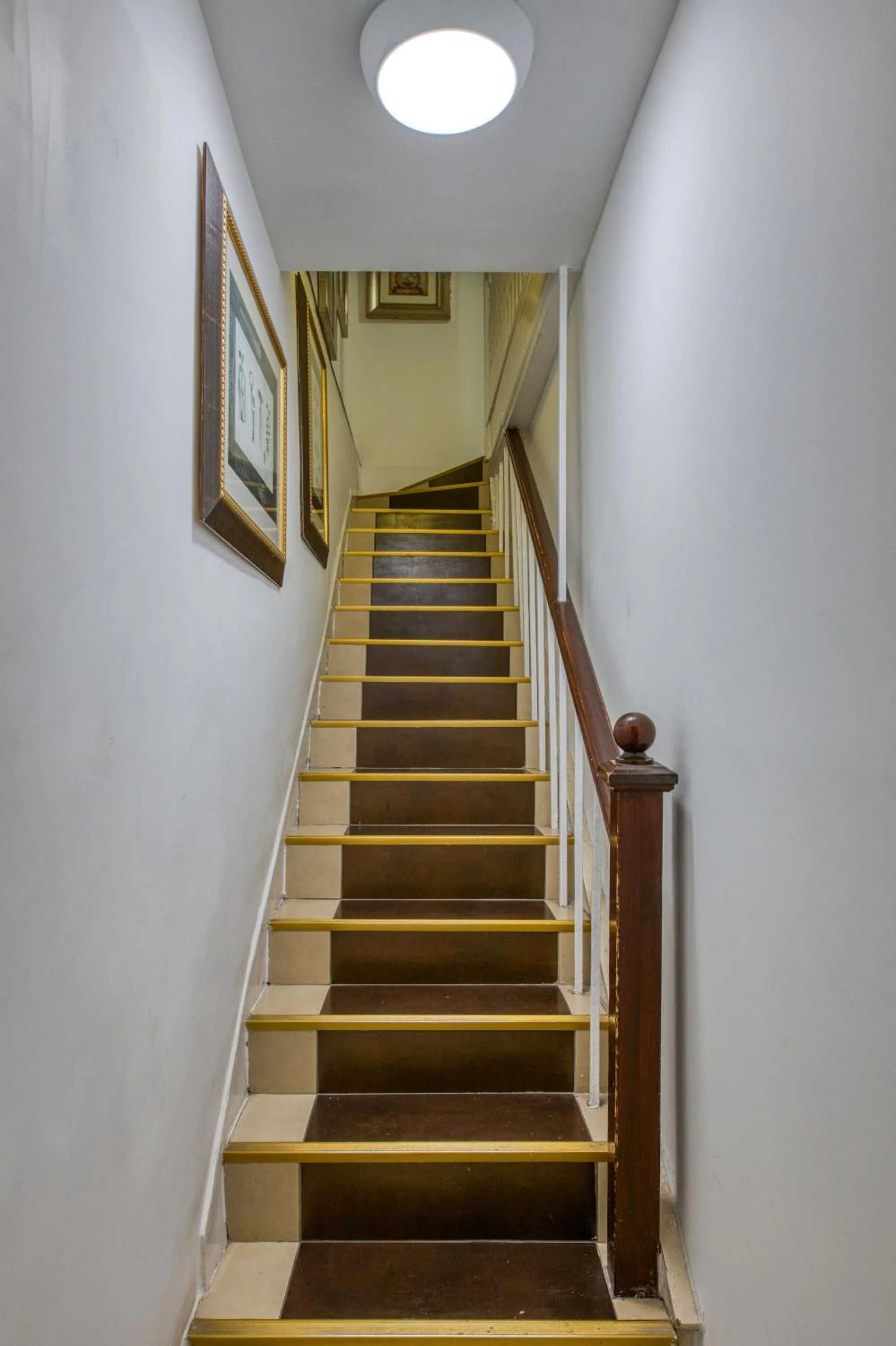 Opulence Boutique Hotel