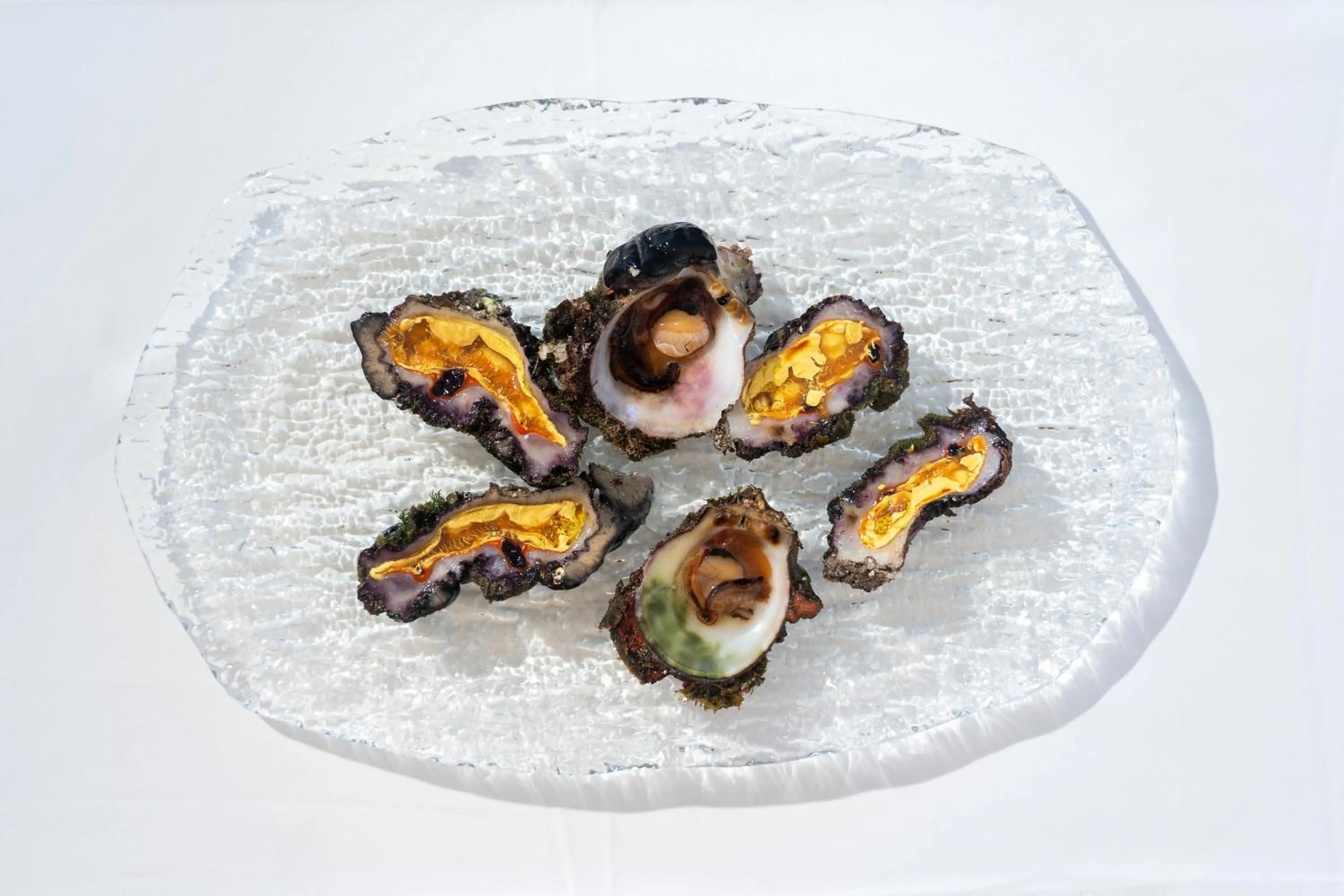 Dinner in White Suites Resort- Adults Only Hotel