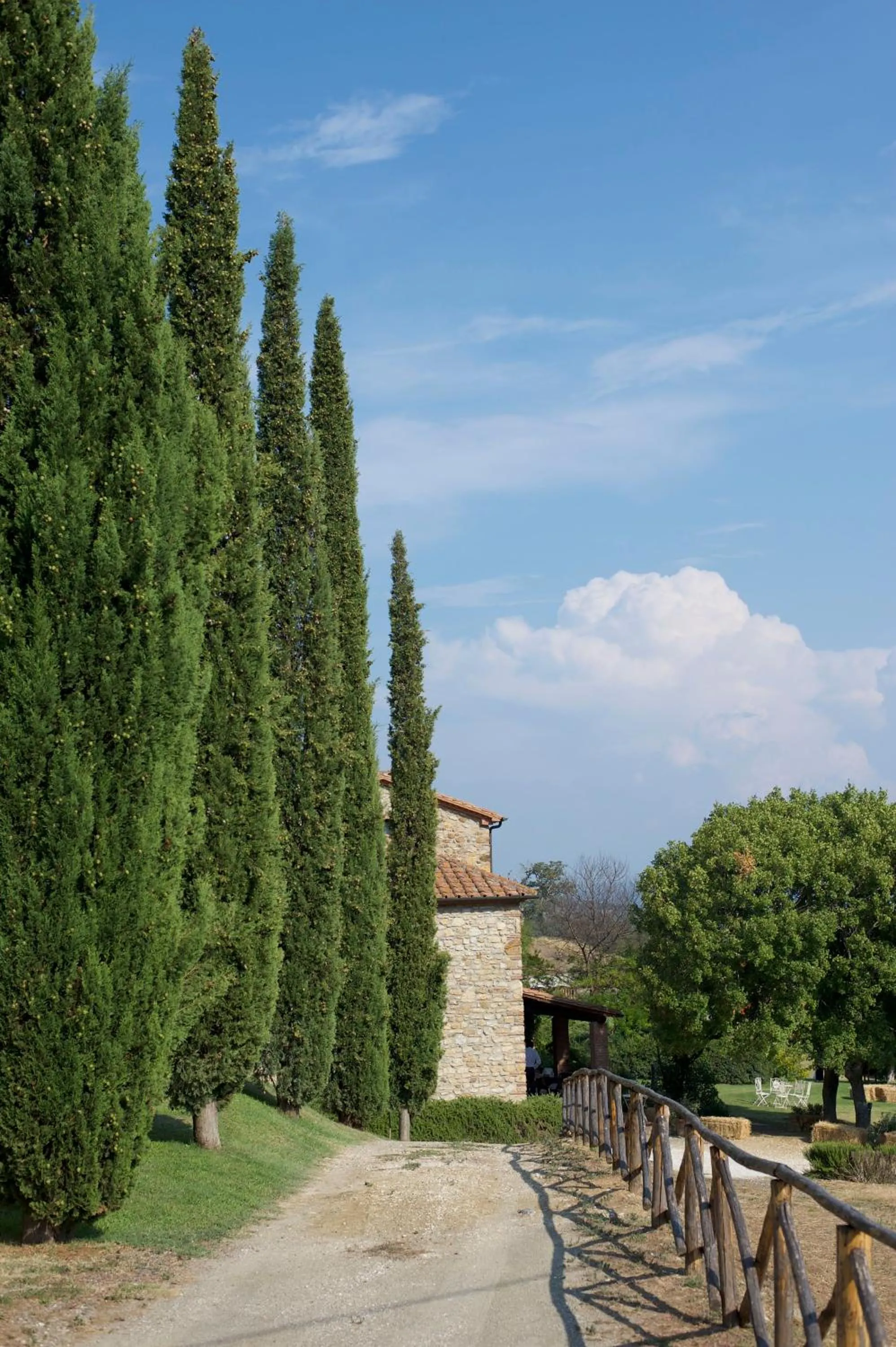 Natural landscape in Agriturismo Boschi di Montecalvi