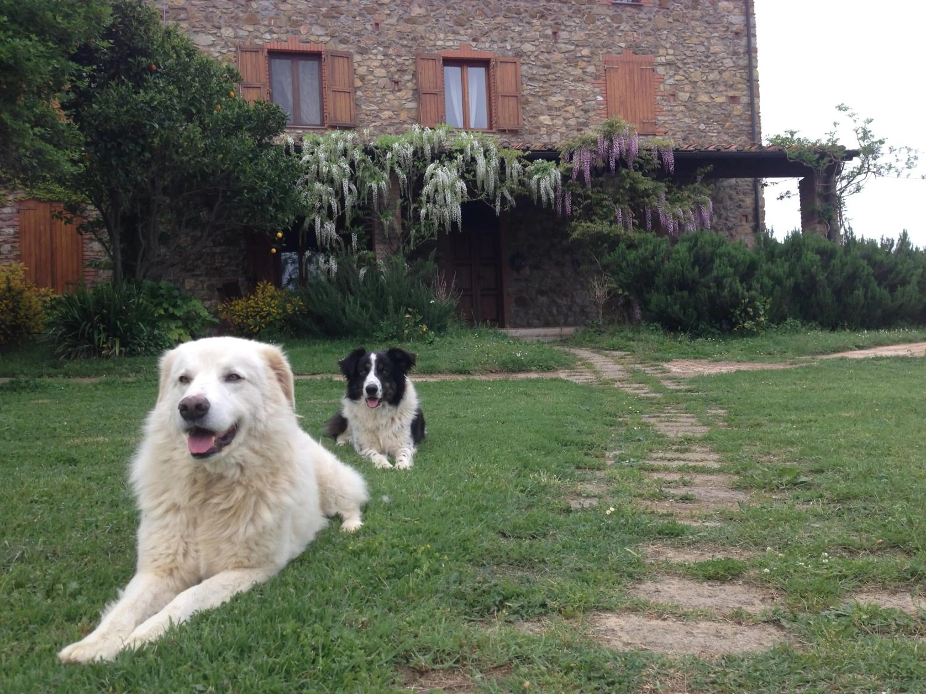 Property building in Agriturismo Boschi di Montecalvi