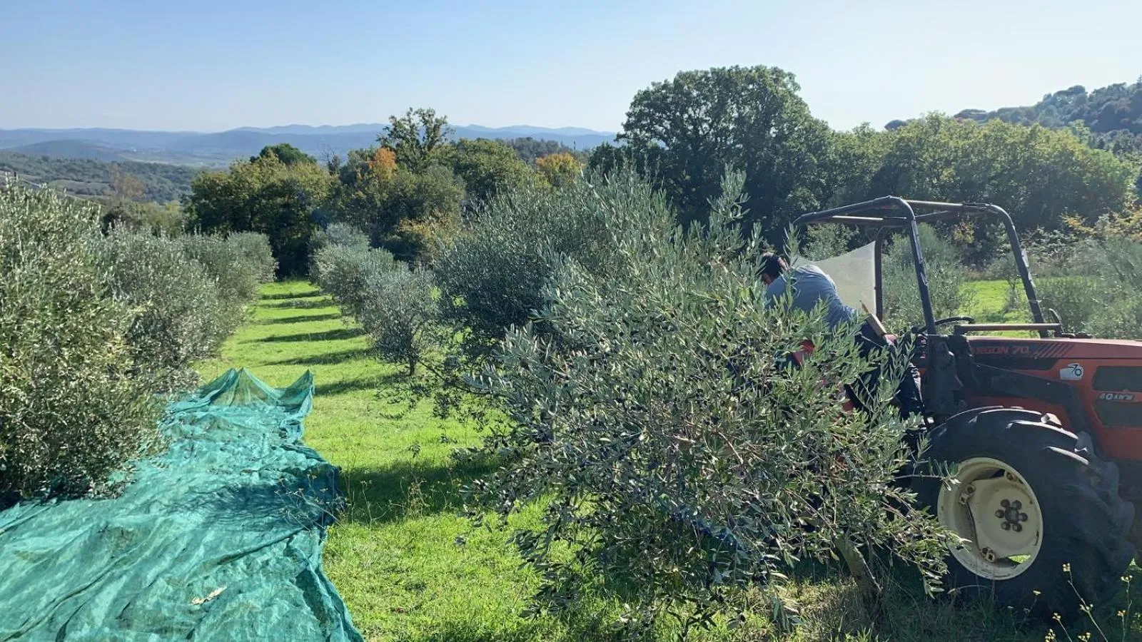 Natural landscape in Agriturismo Boschi di Montecalvi