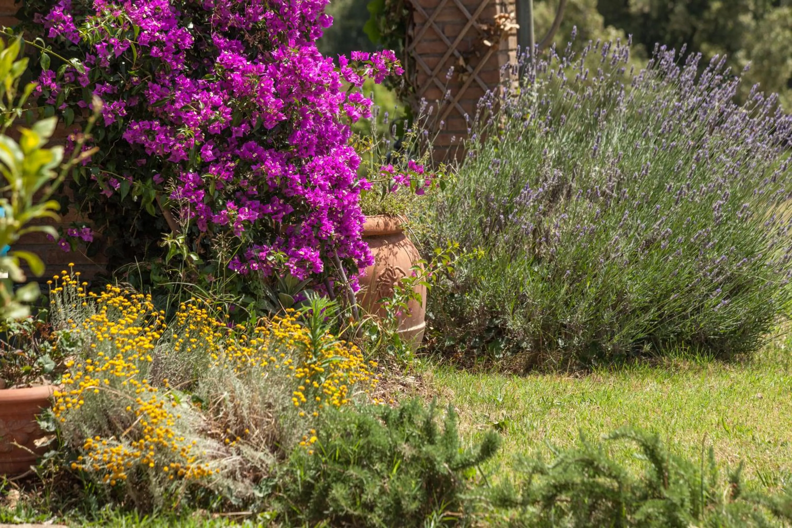 Garden in Agriturismo Boschi di Montecalvi