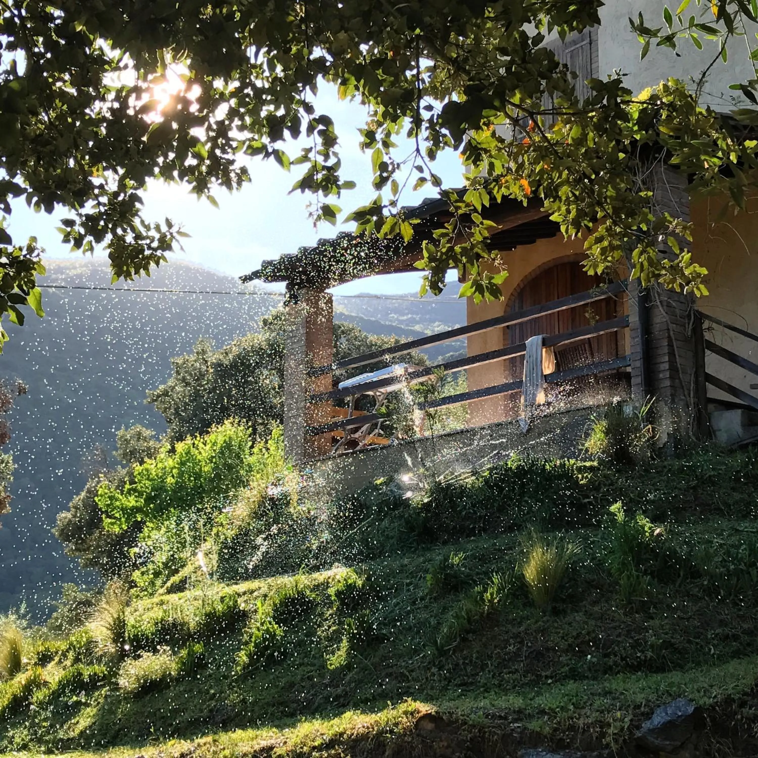 Property building in Agriturismo Boschi di Montecalvi