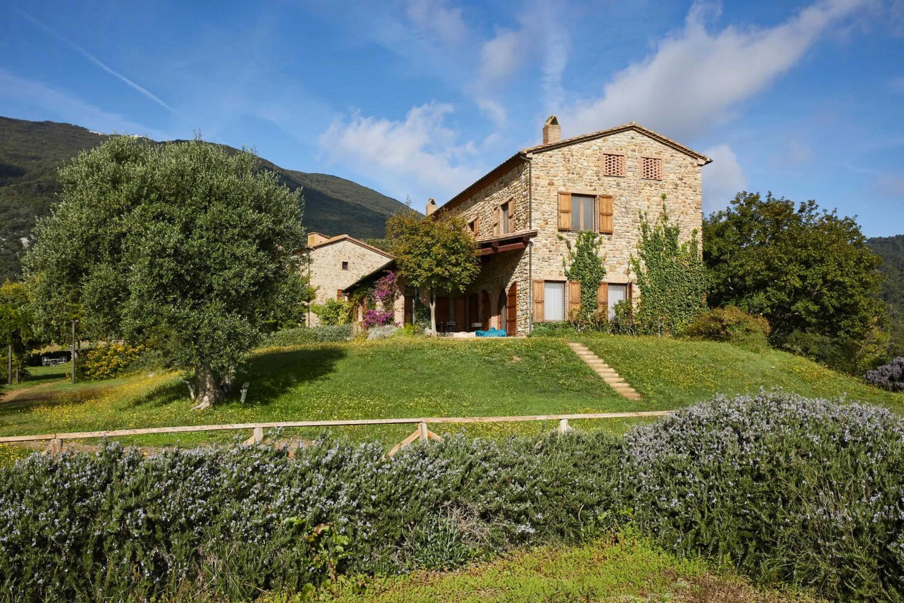 Agriturismo Boschi di Montecalvi