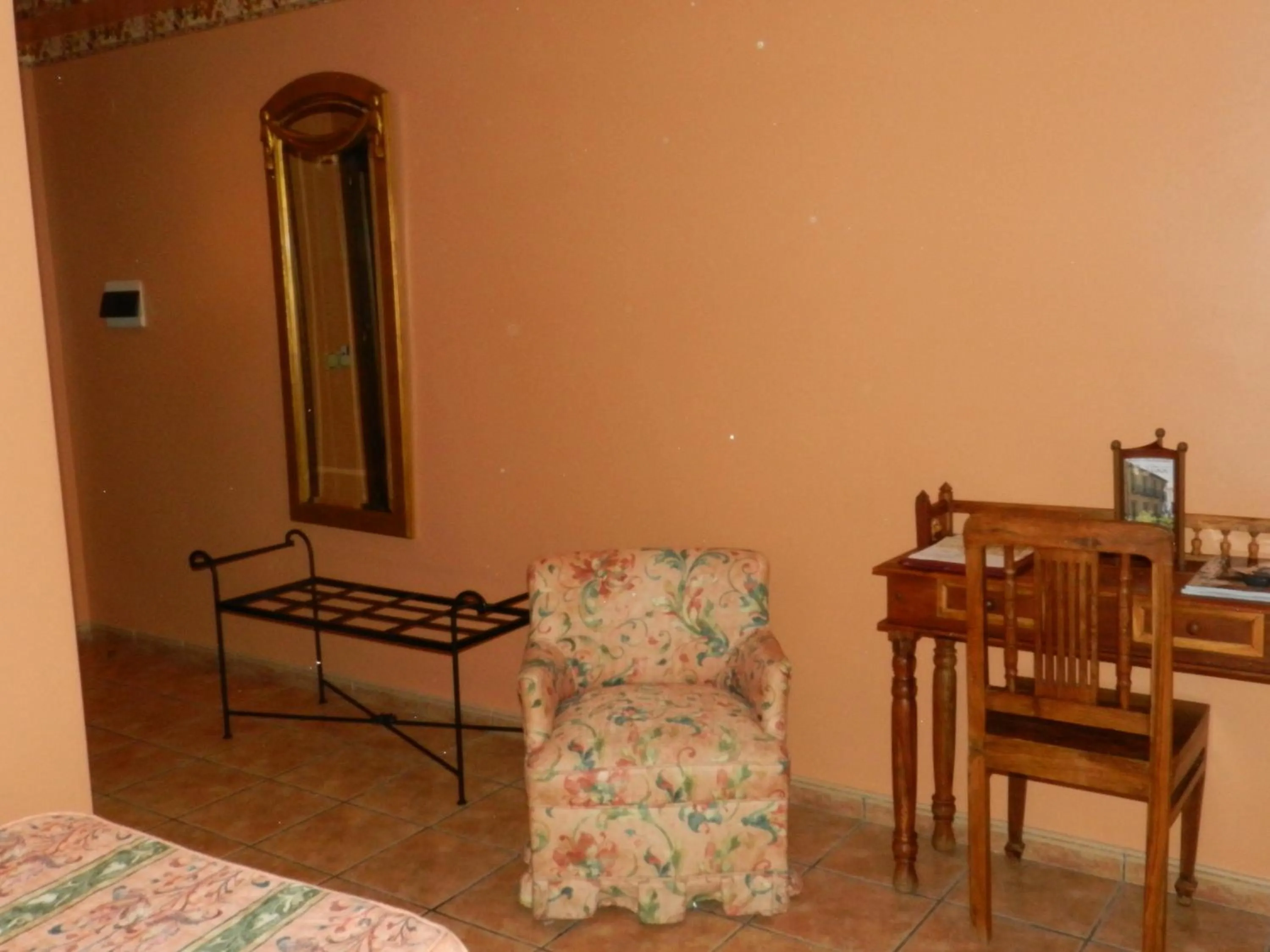 Photo of the whole room in Hotel Don Javier