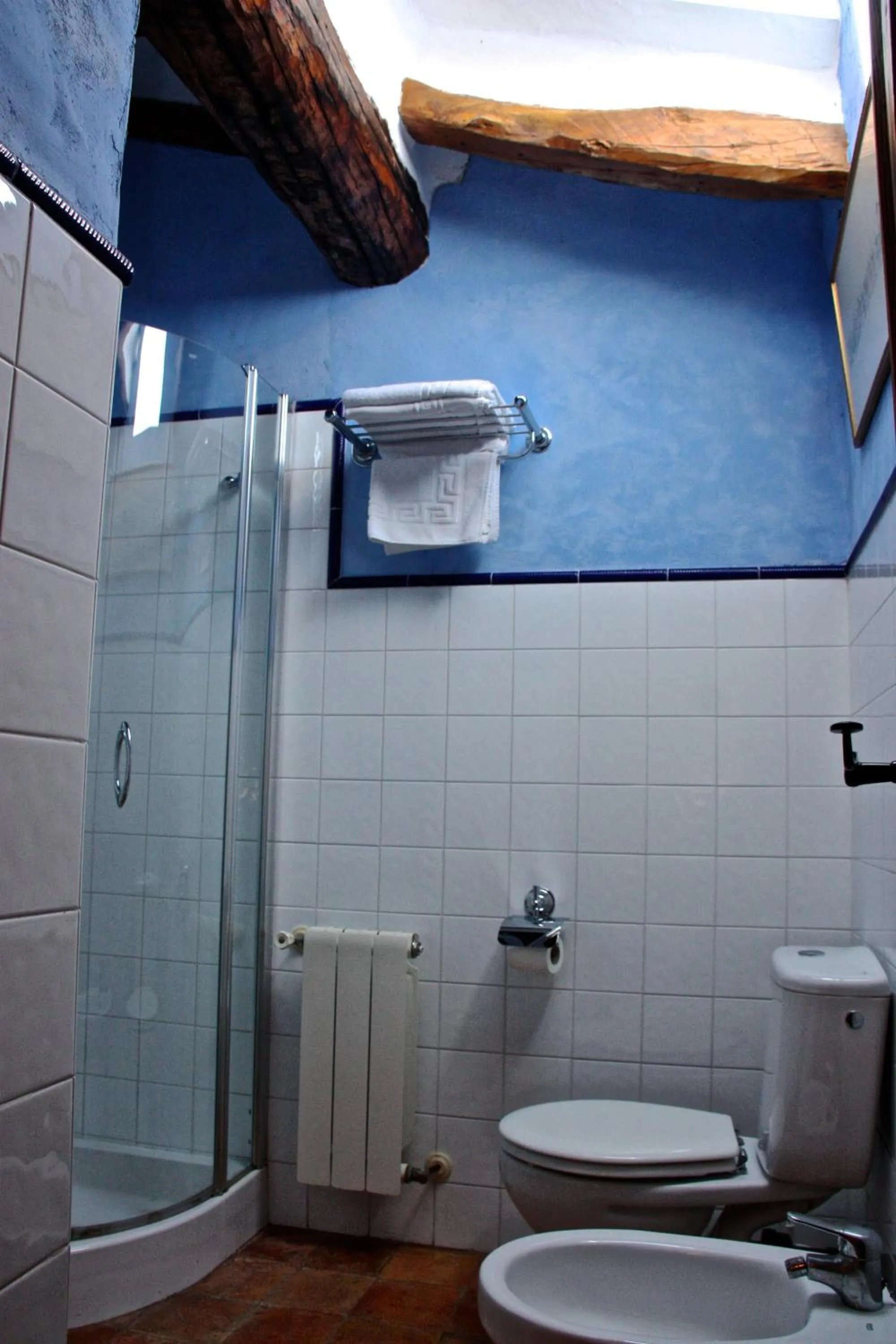 Toilet in Hotel Rural Mas Fontanelles