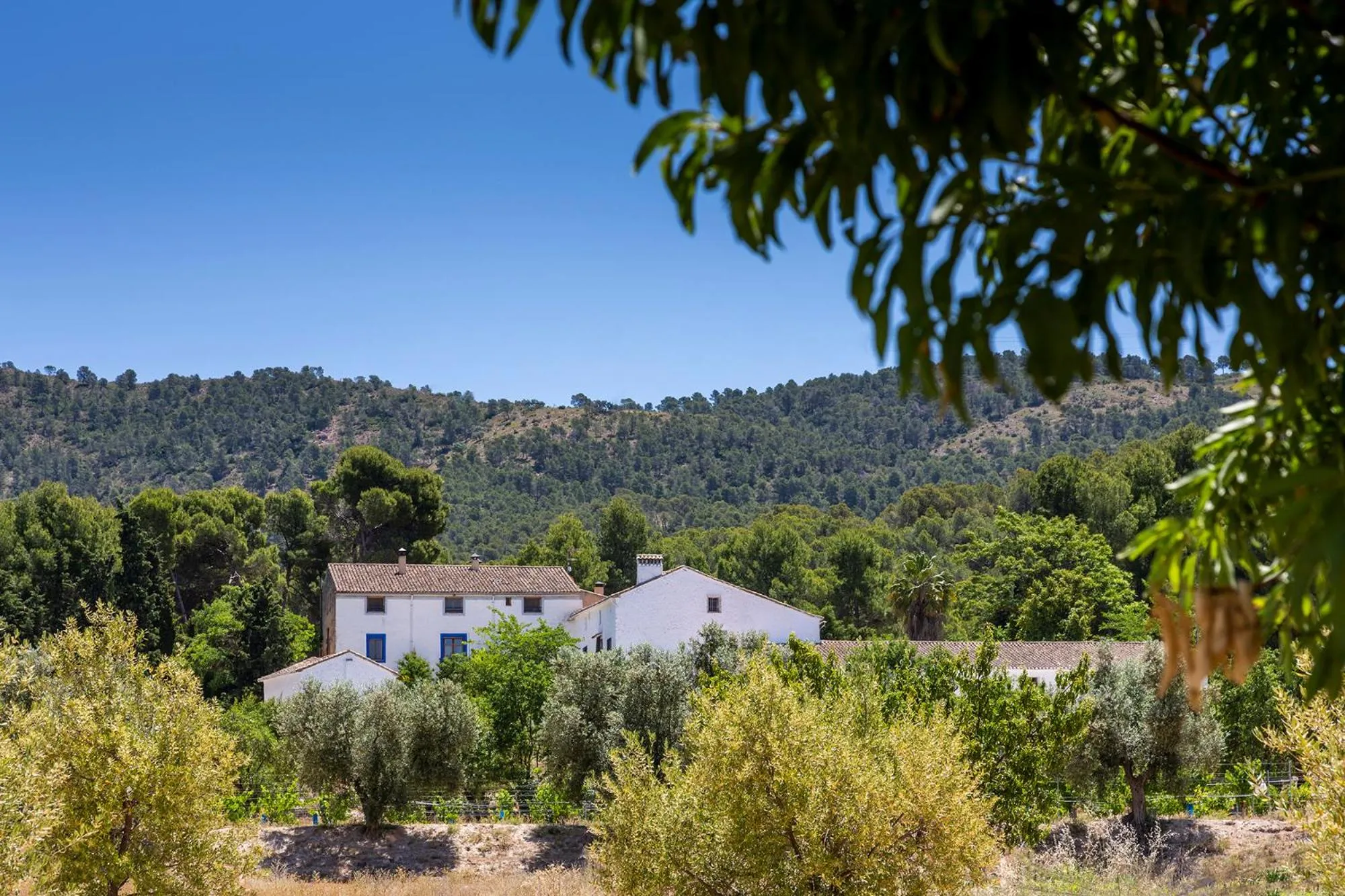 Facade/entrance in Hotel Rural Mas Fontanelles