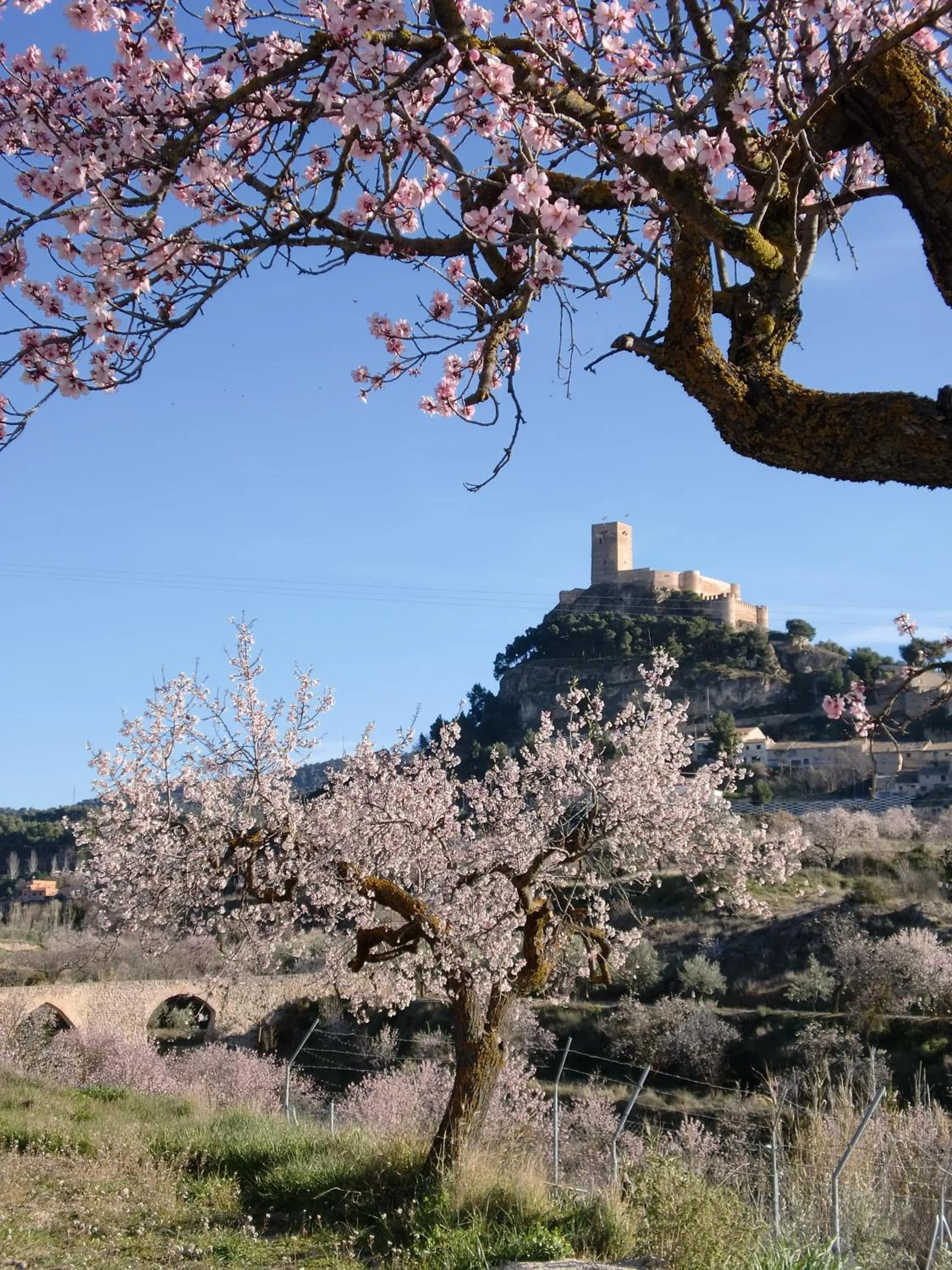 Day in Hotel Rural Mas Fontanelles