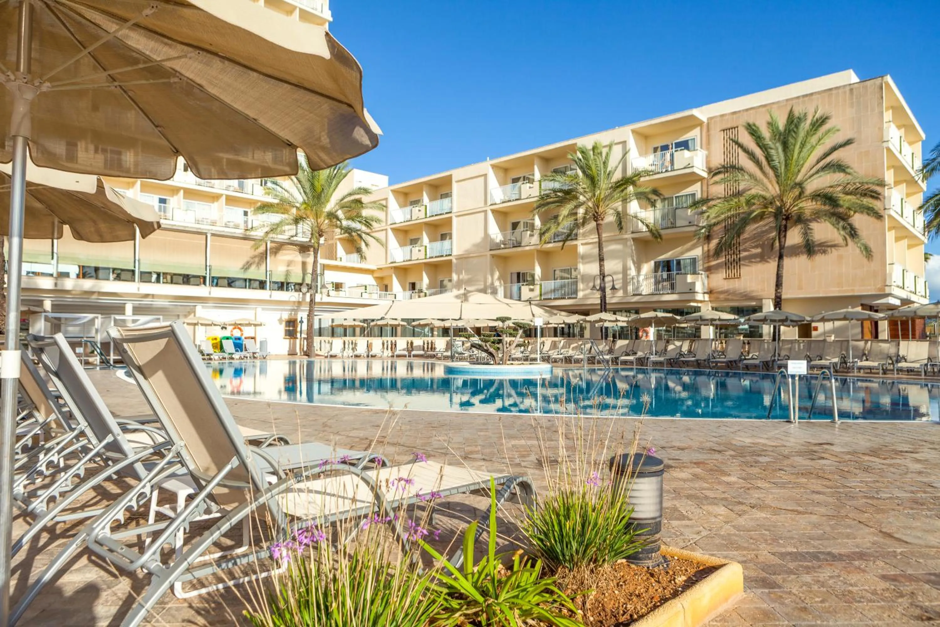Swimming pool in CM Castell de Mar
