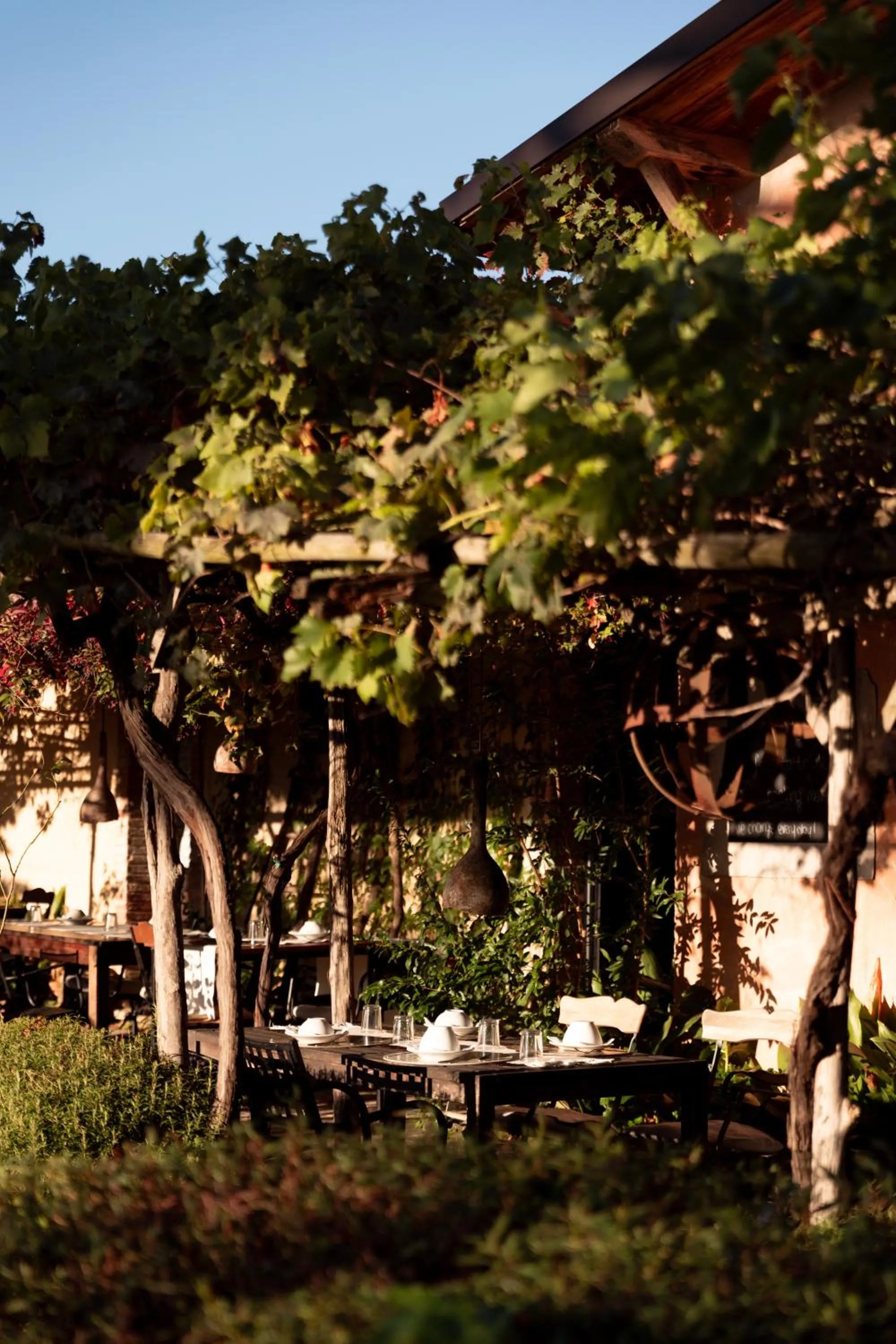 Restaurant/places to eat in Agriturismo San Martino