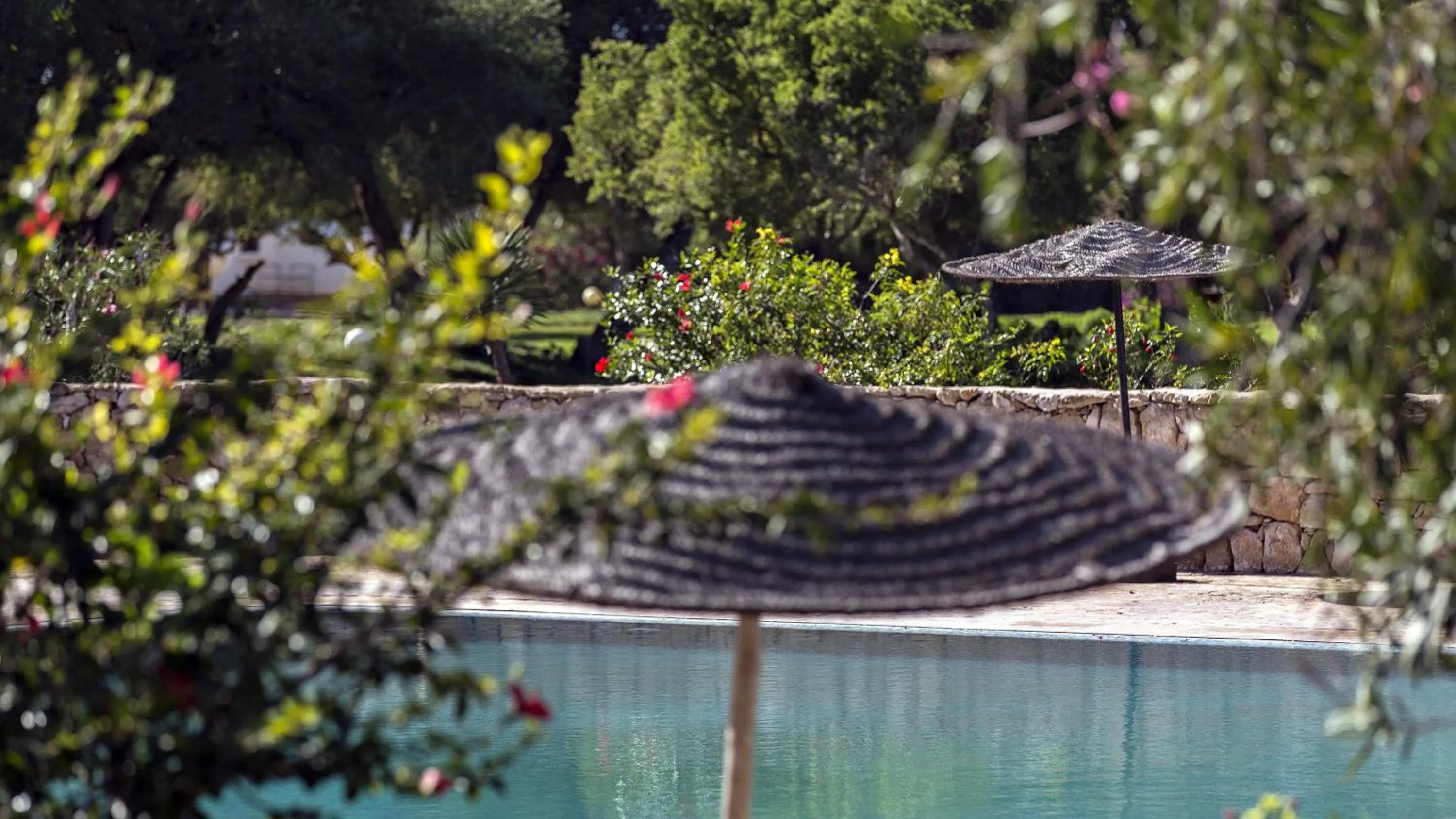 Day in Domaine de l'Arganeraie