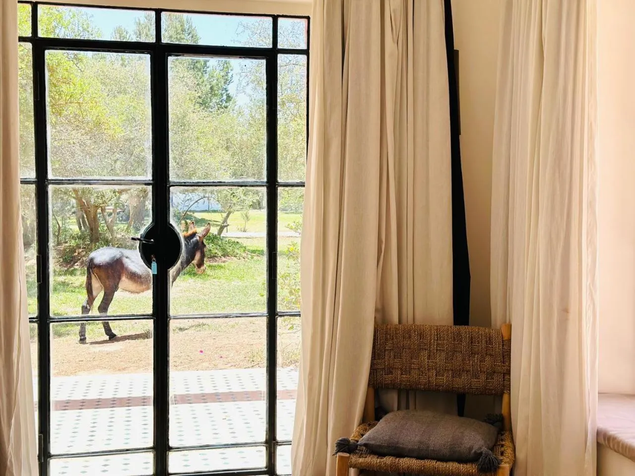 Domaine de l'Arganeraie