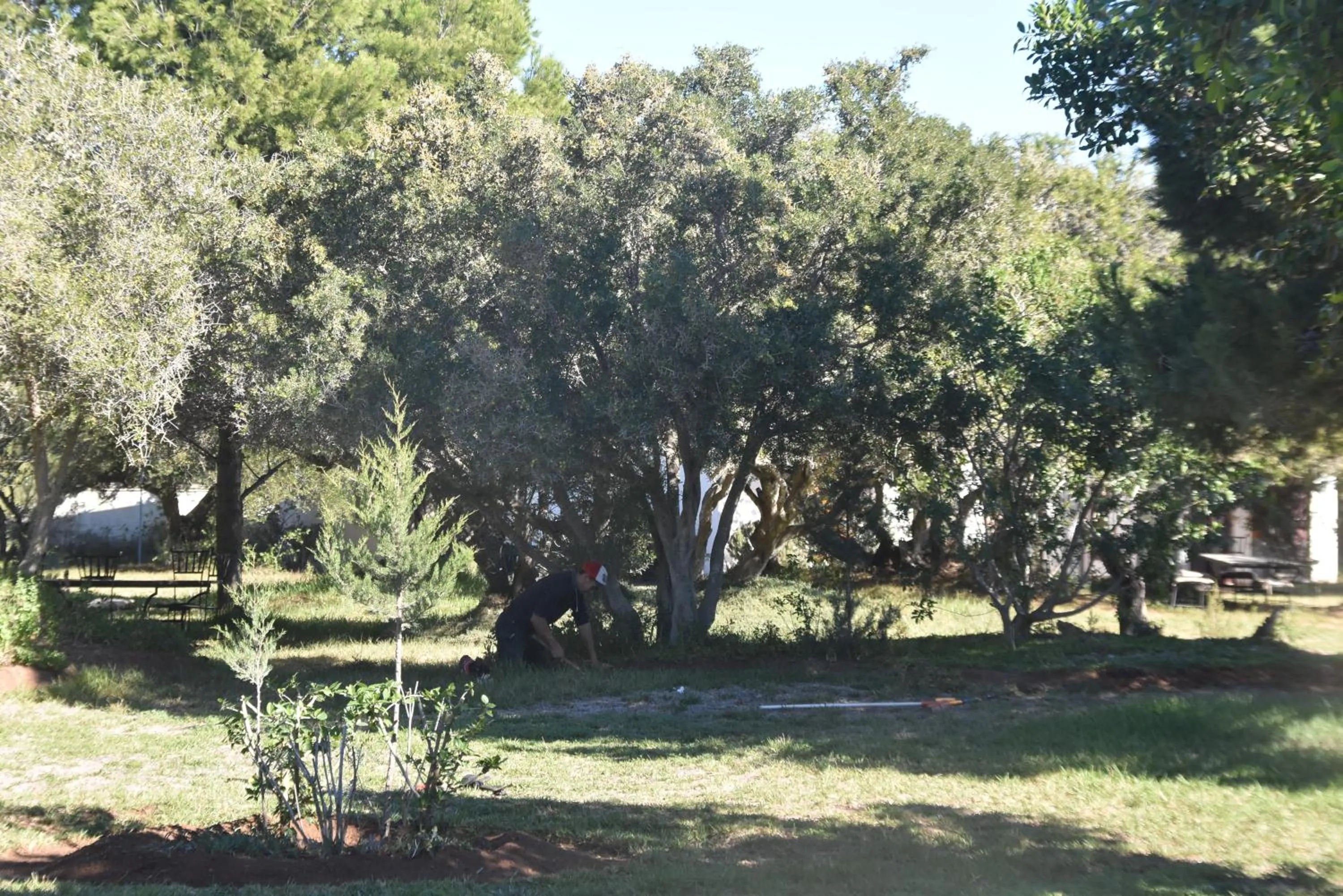 Garden in Domaine de l'Arganeraie