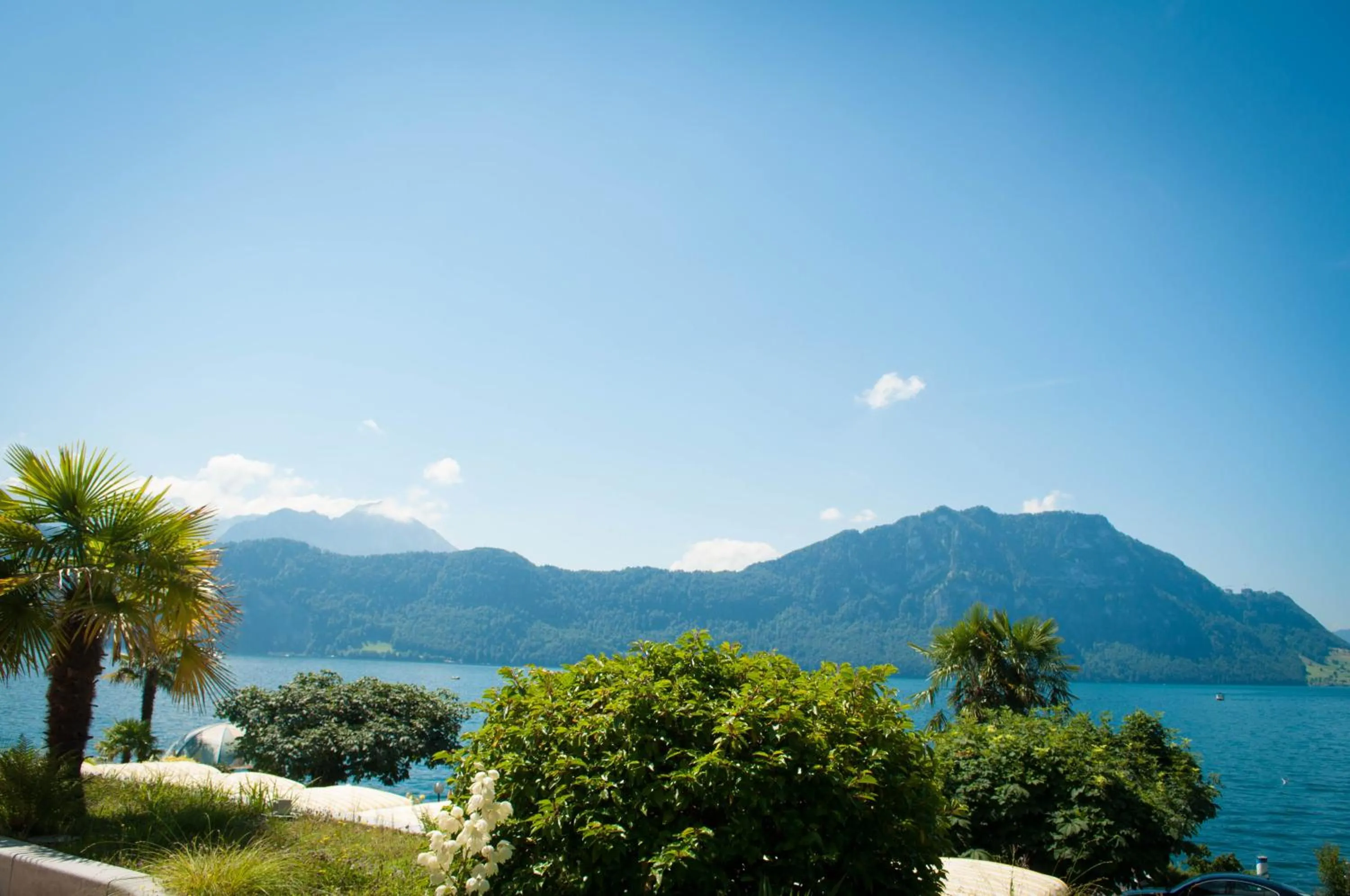 Lake view in Hotel Beau Rivage Weggis