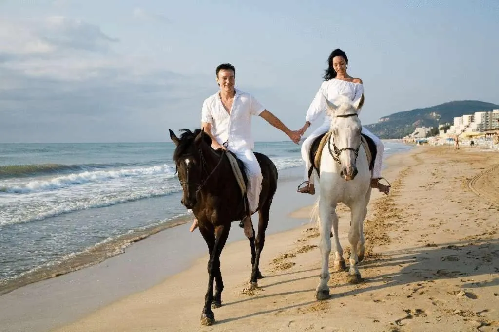 Horse-riding in Hotel Arabella Beach