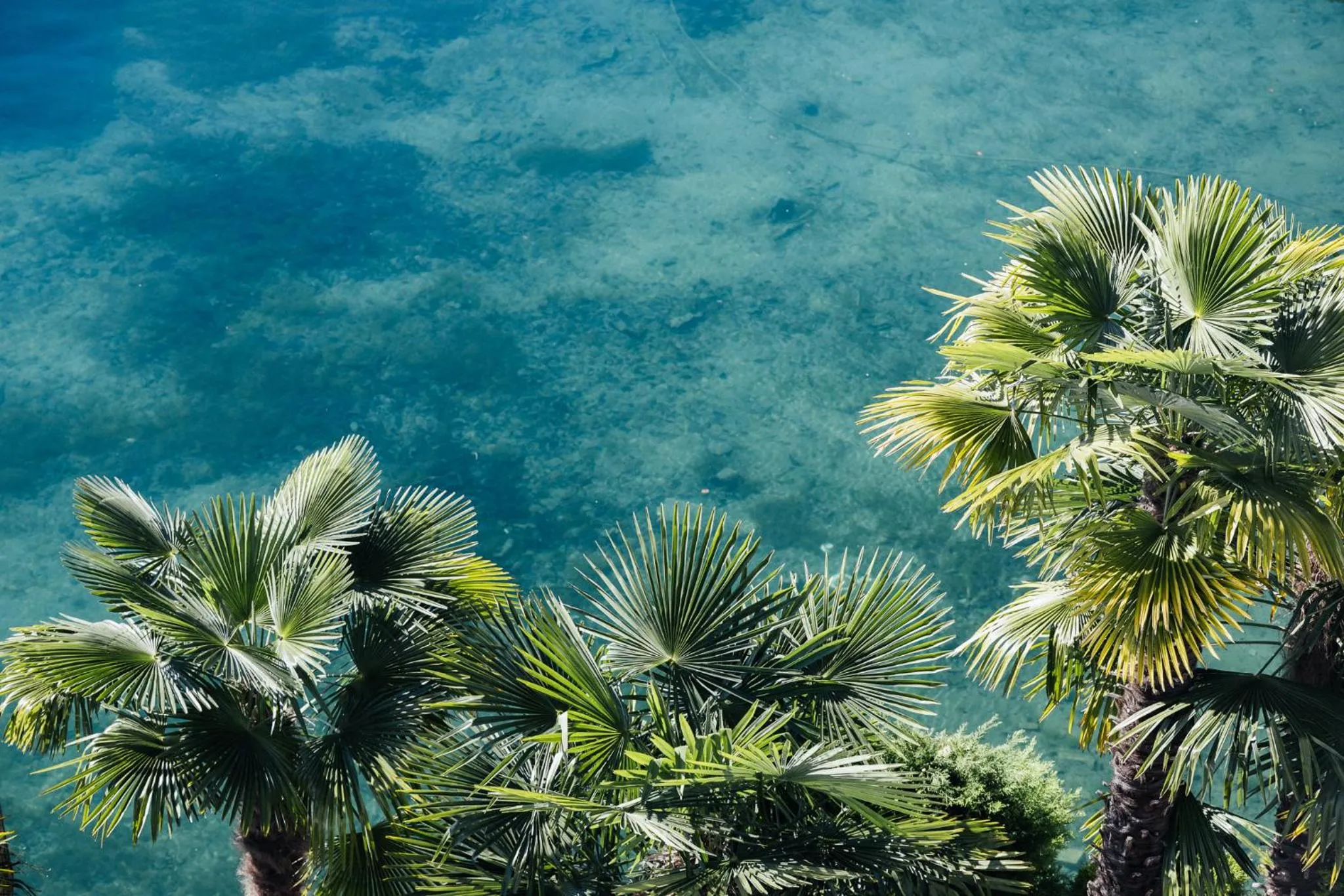 View (from property/room) in Hotel Central am See