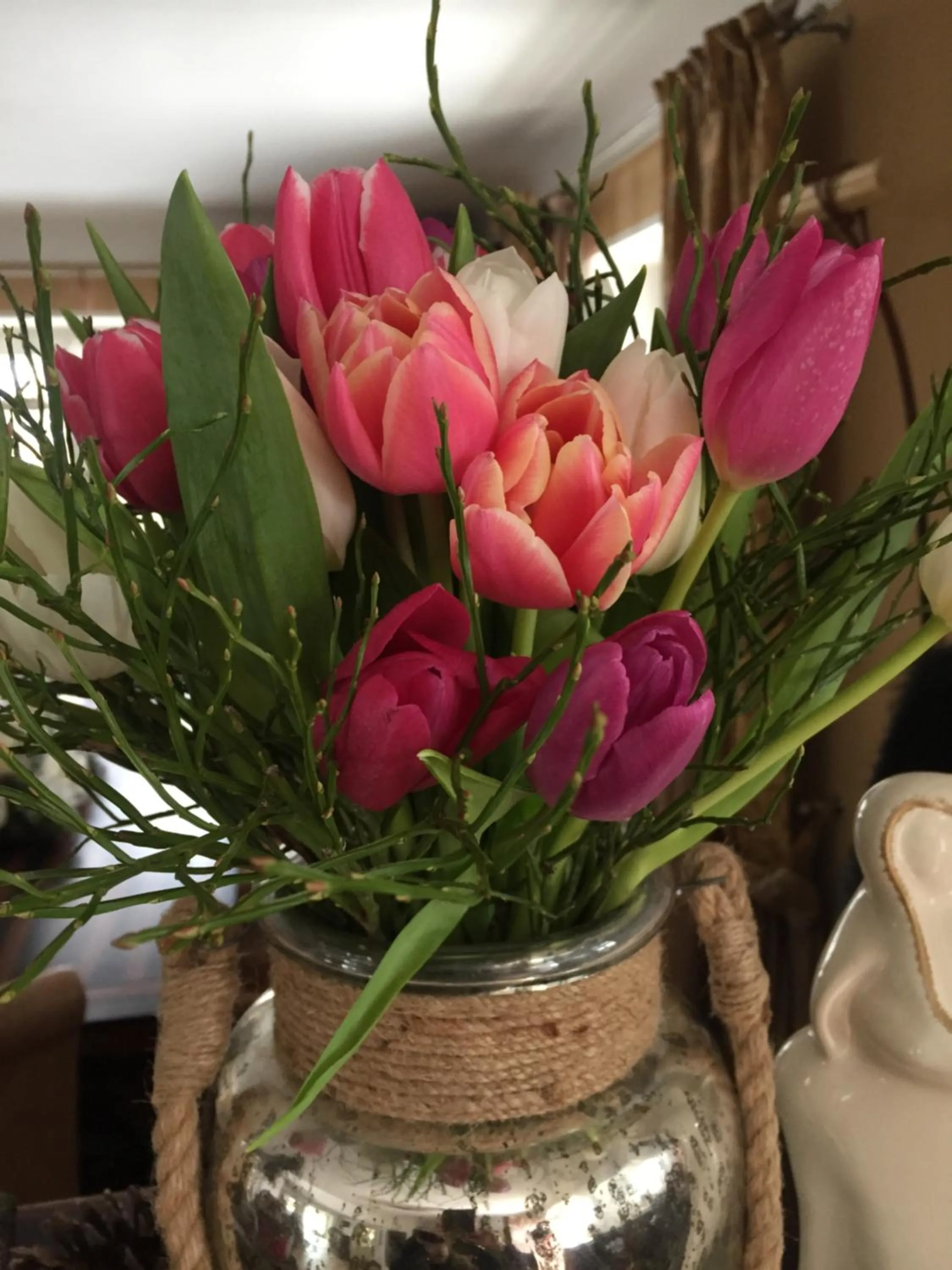 Area and facilities in Hotel Lerch