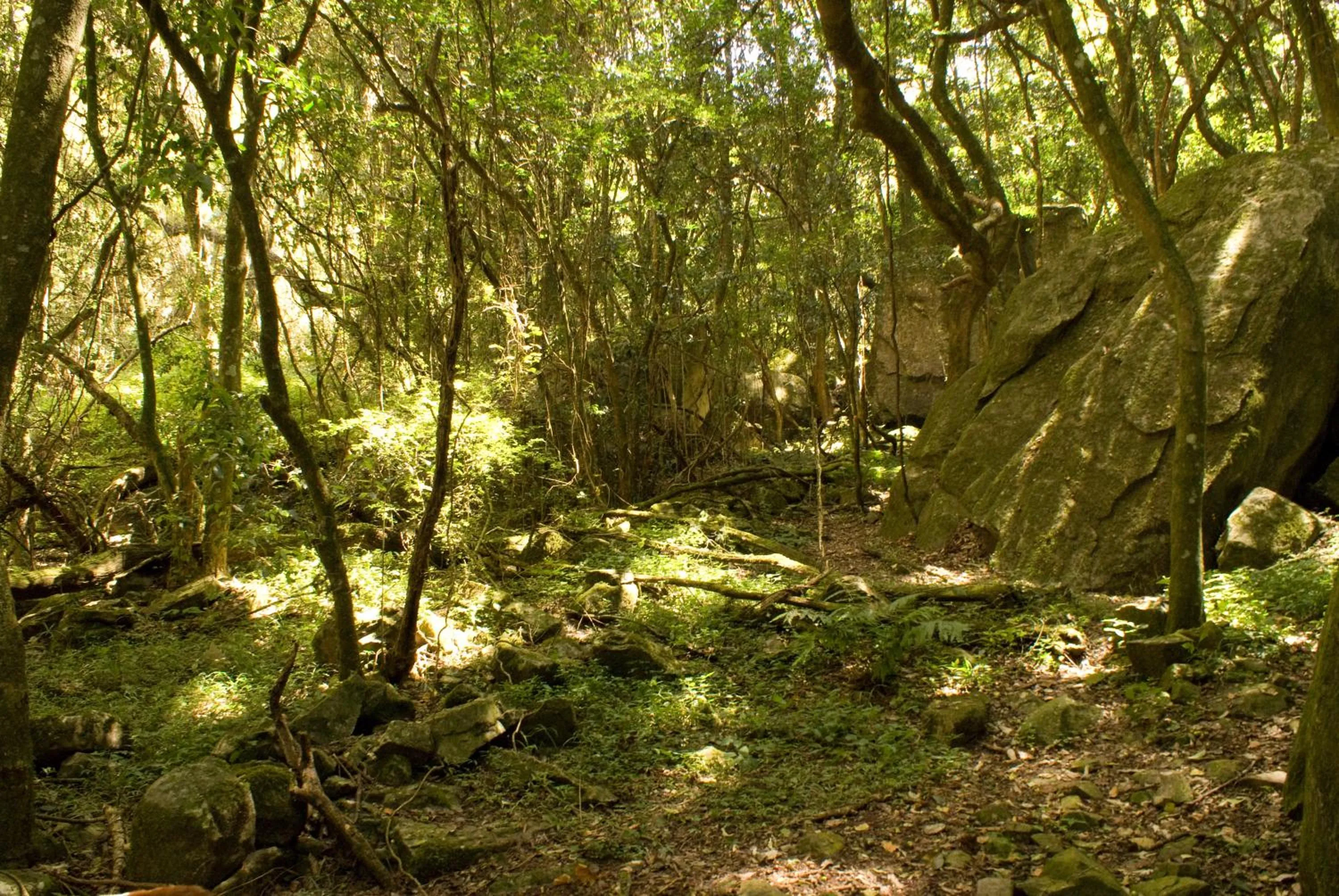 Entertainment in Forest Creek Lodge & Spa