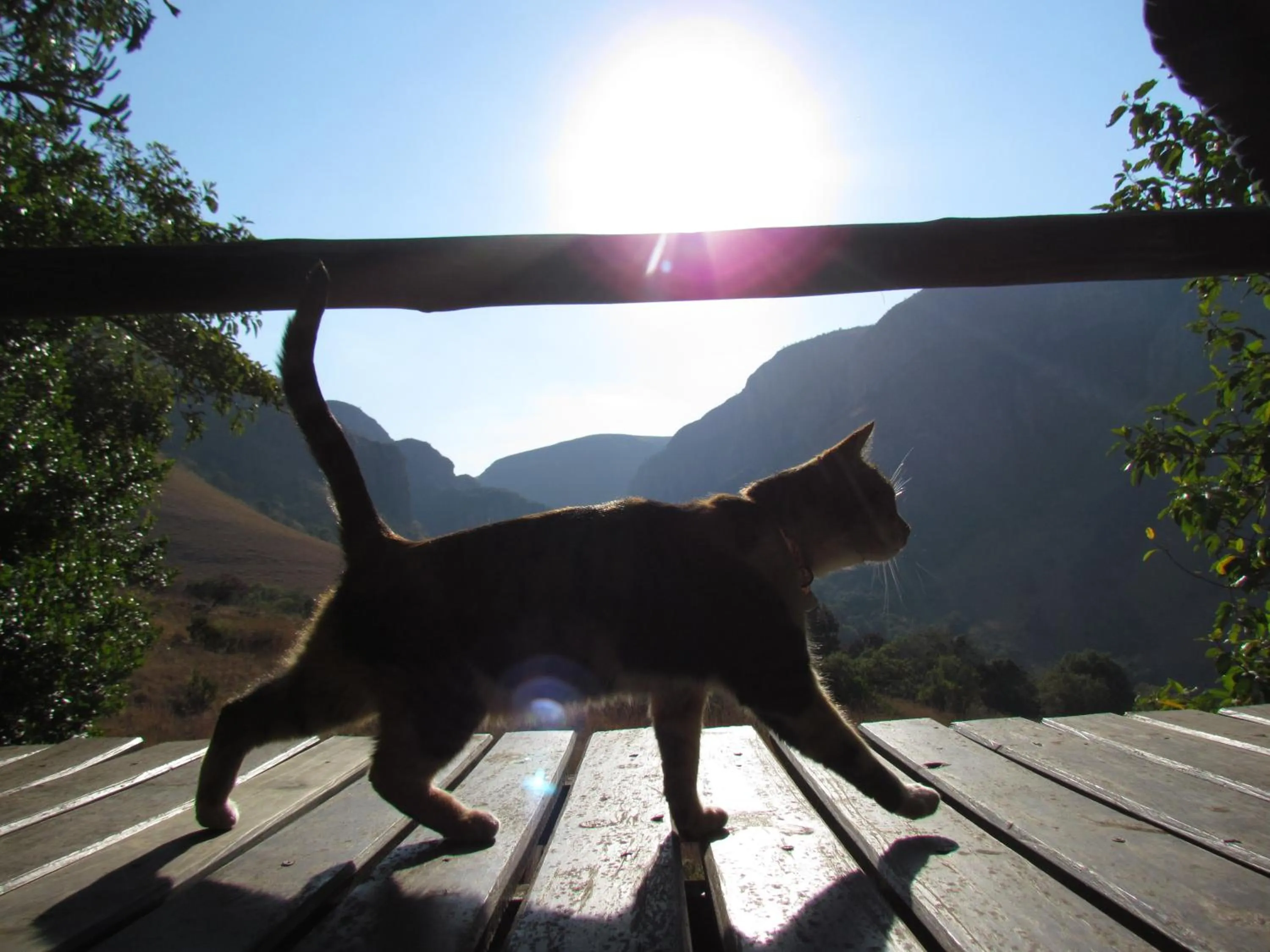 Sunset in Forest Creek Lodge & Spa