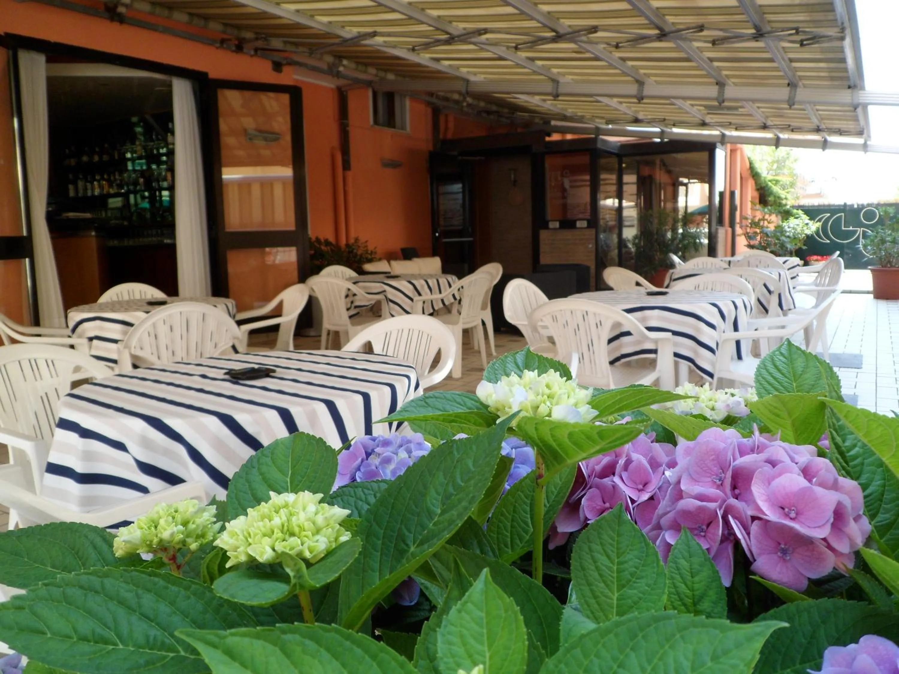 Restaurant/places to eat in Hotel Europeo