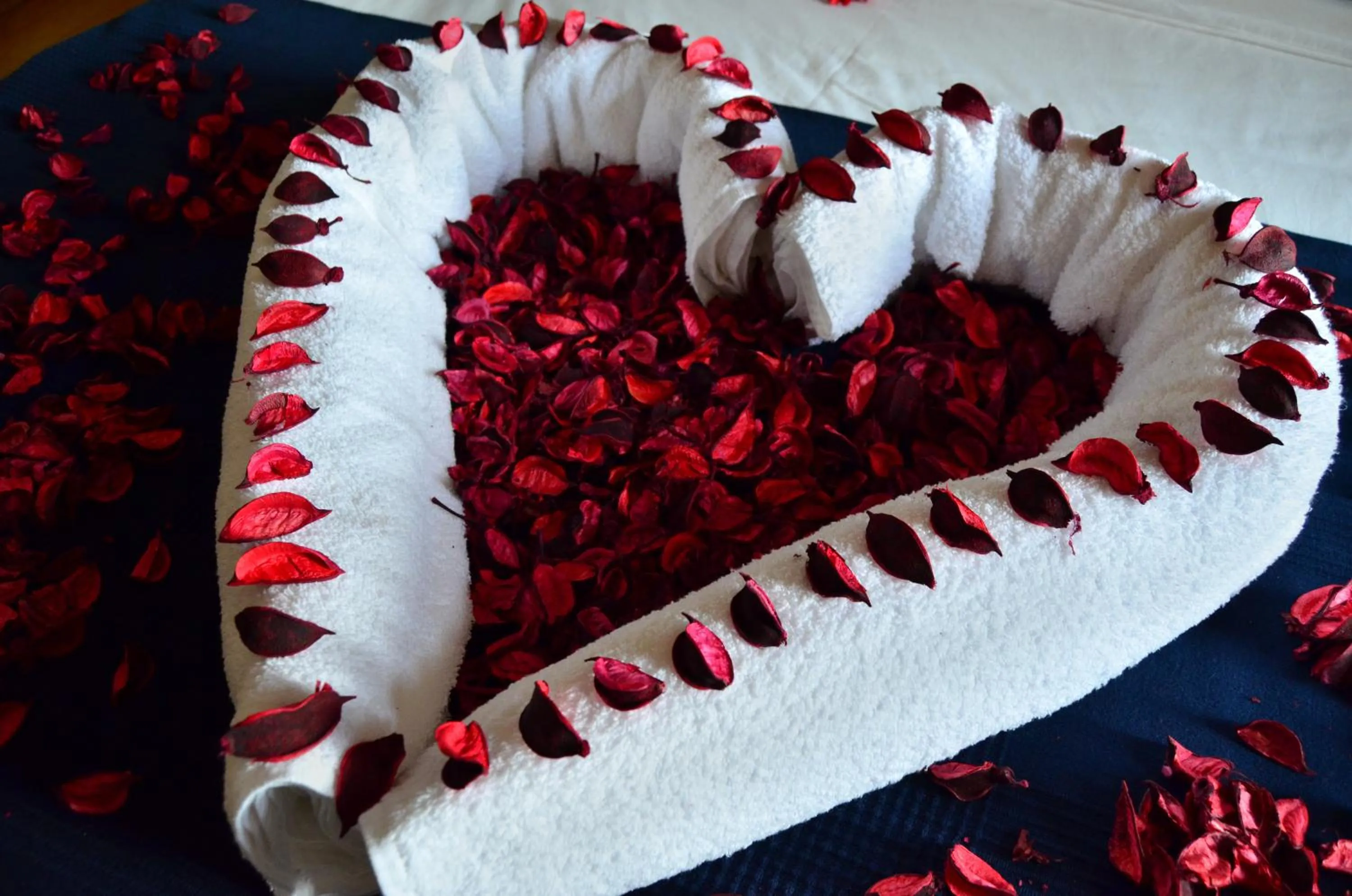 Decorative detail in Lisbon Garden Boutique Guest House