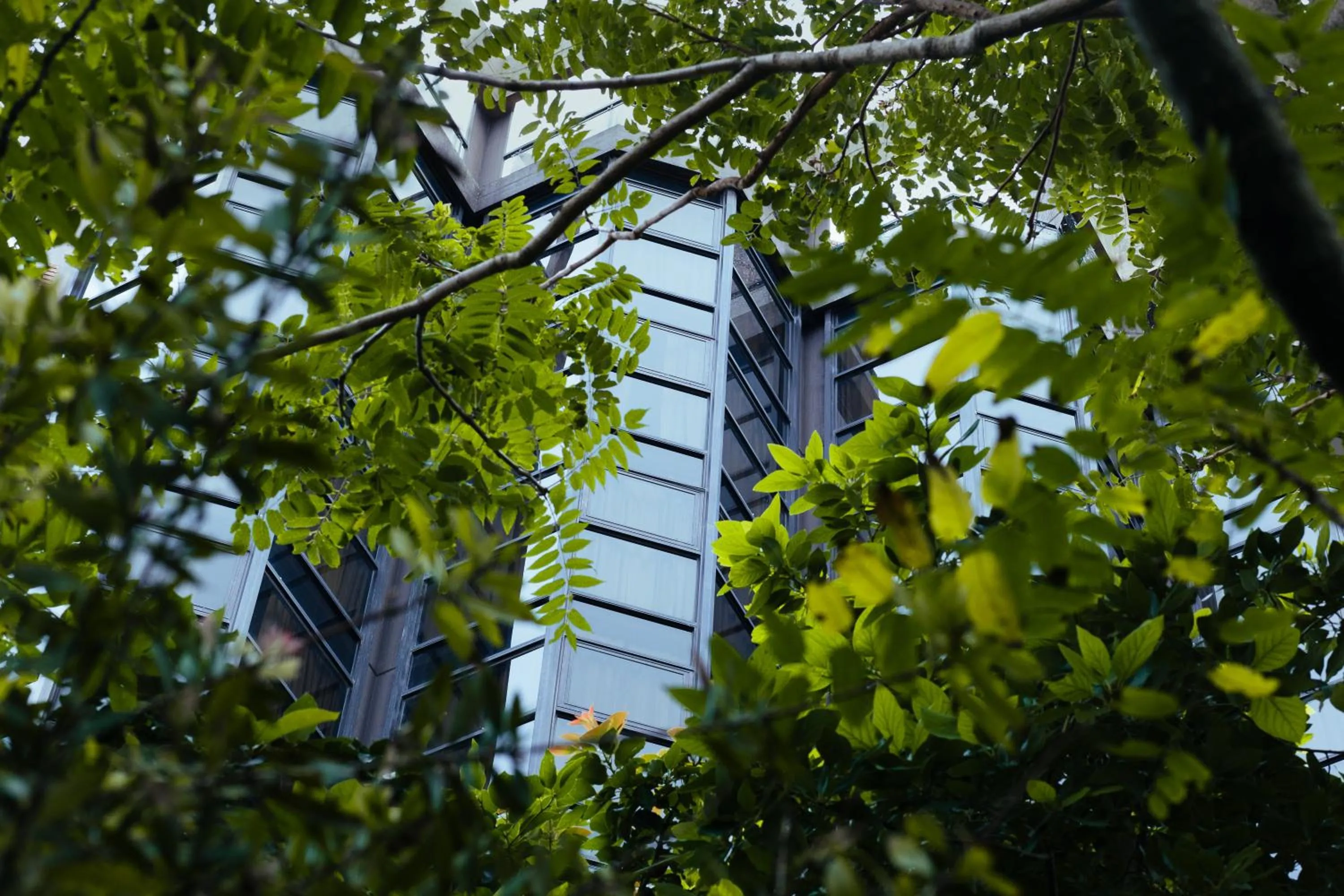 Garden in Primacy Hotel