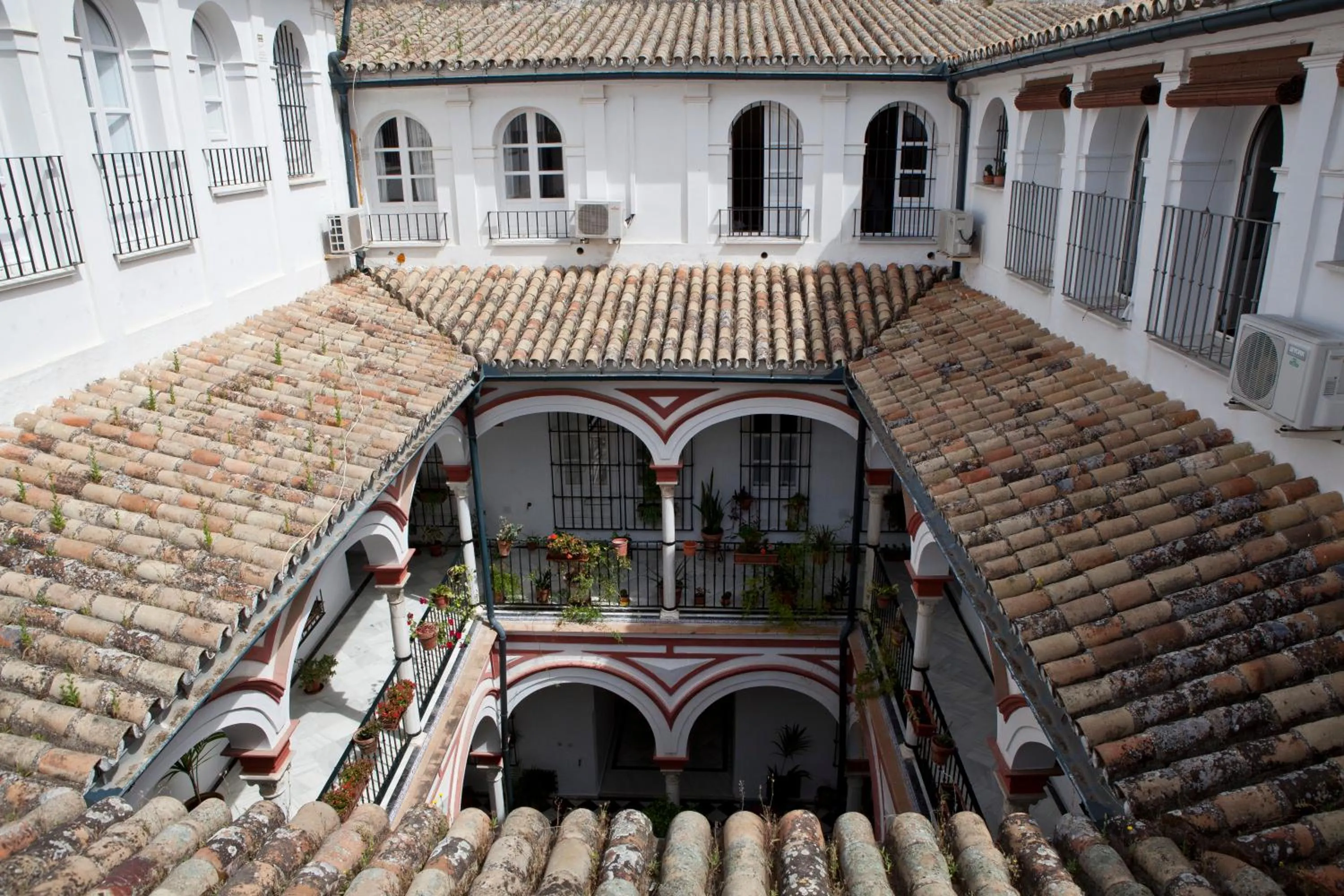 Garden view in Casa Palacio, La Giralda