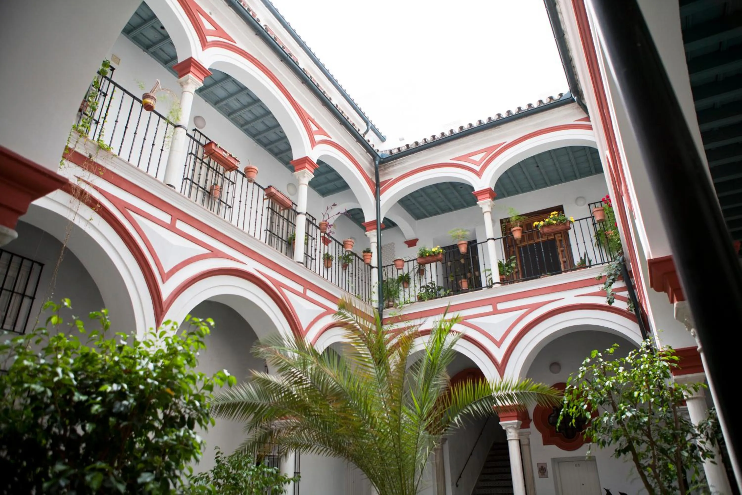 Patio in Casa Palacio, La Giralda