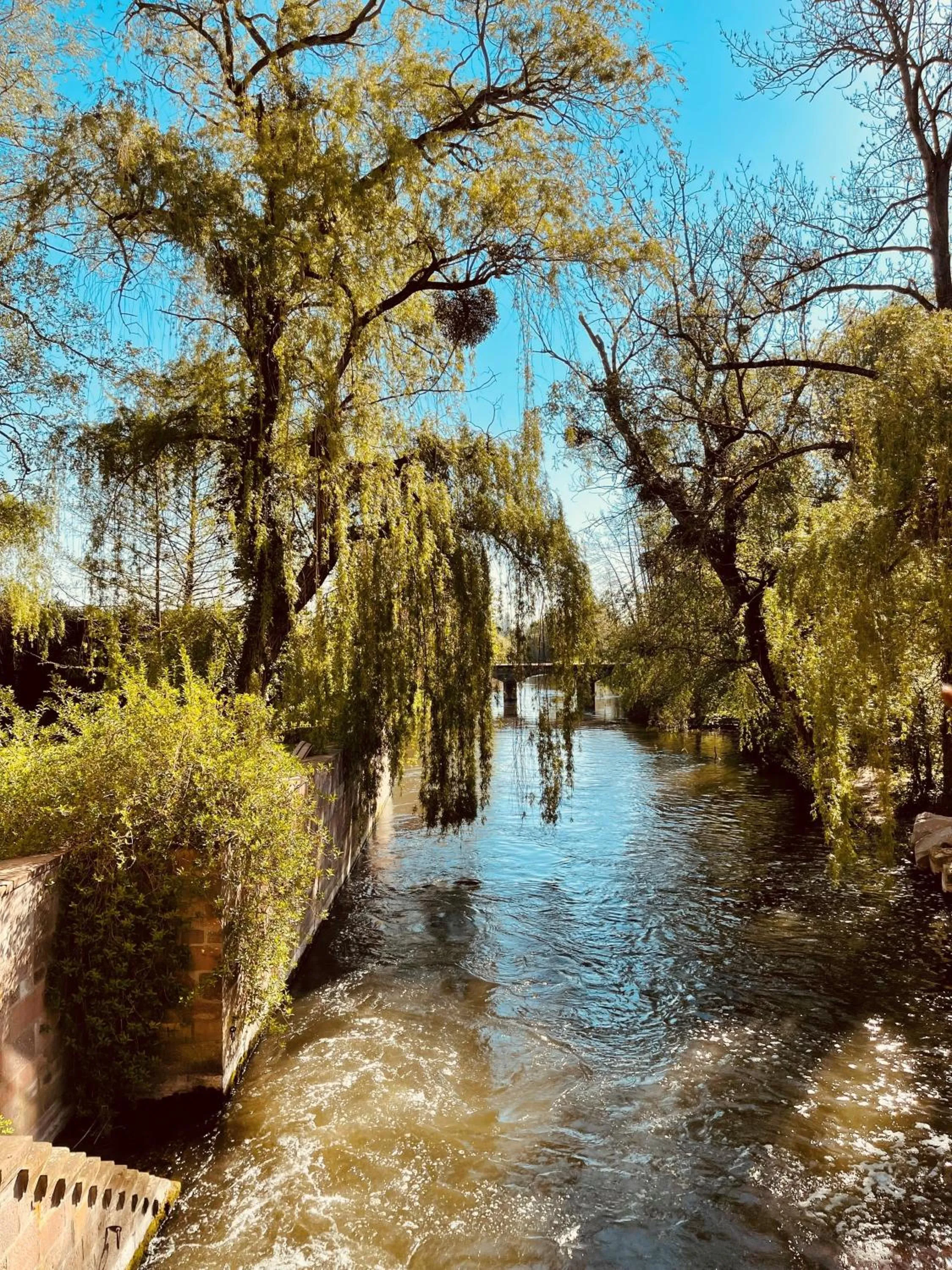 Natural landscape in Hôtel-SPA Le Moulin De La Wantzenau - Strasbourg Nord