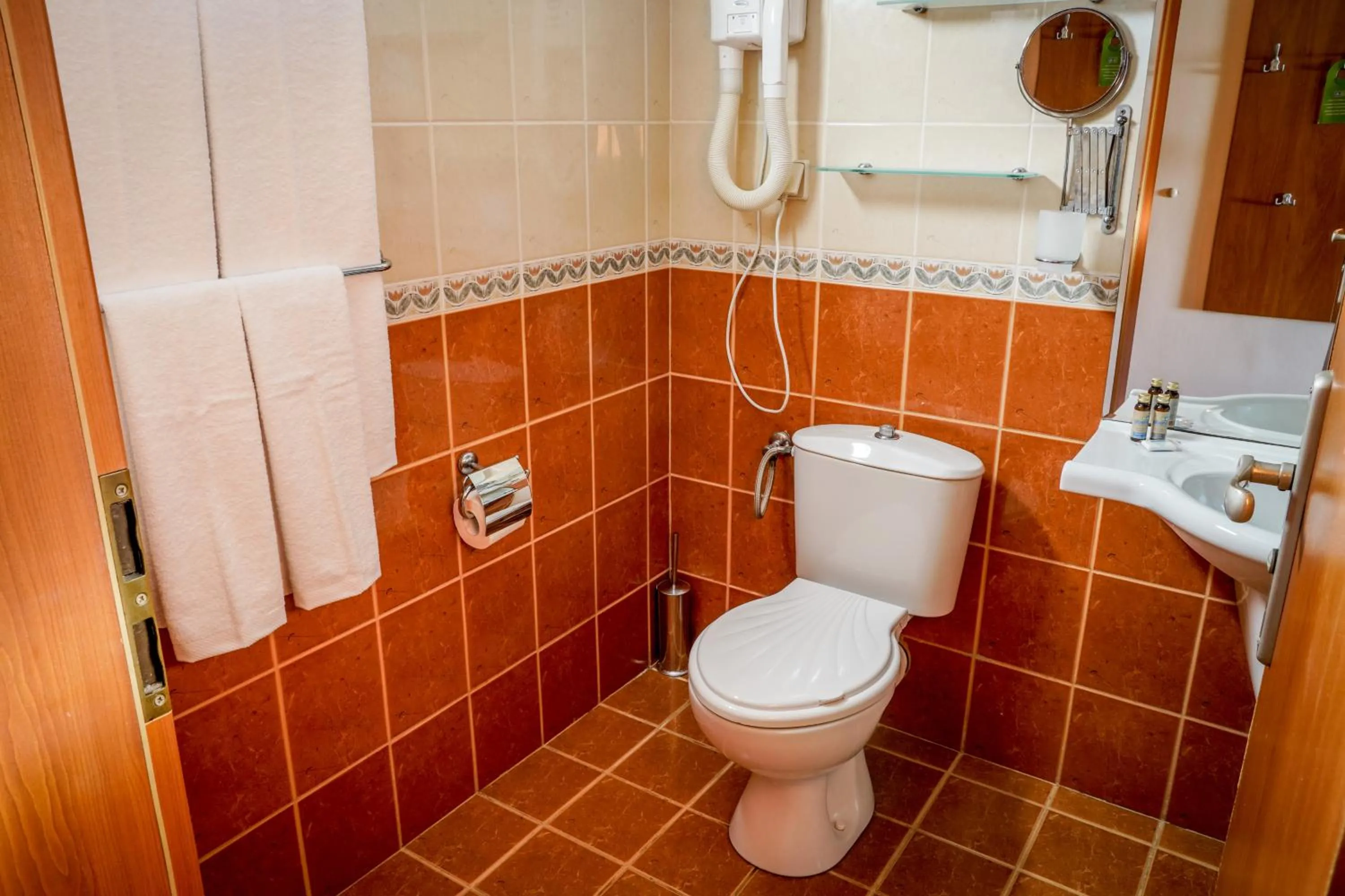 Bathroom in Hotel Malibu