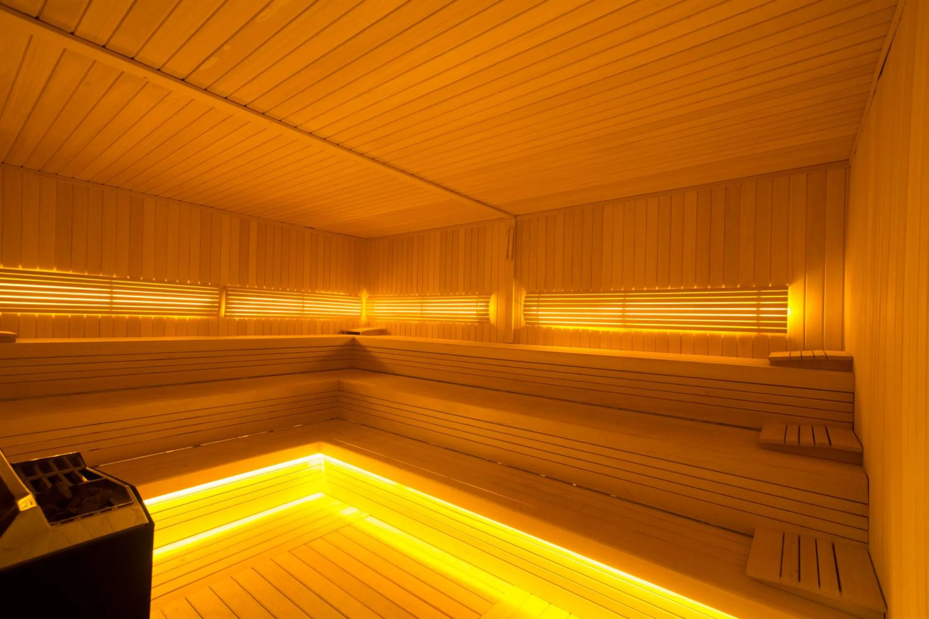 Sauna in Washington Resort Hotel & Spa