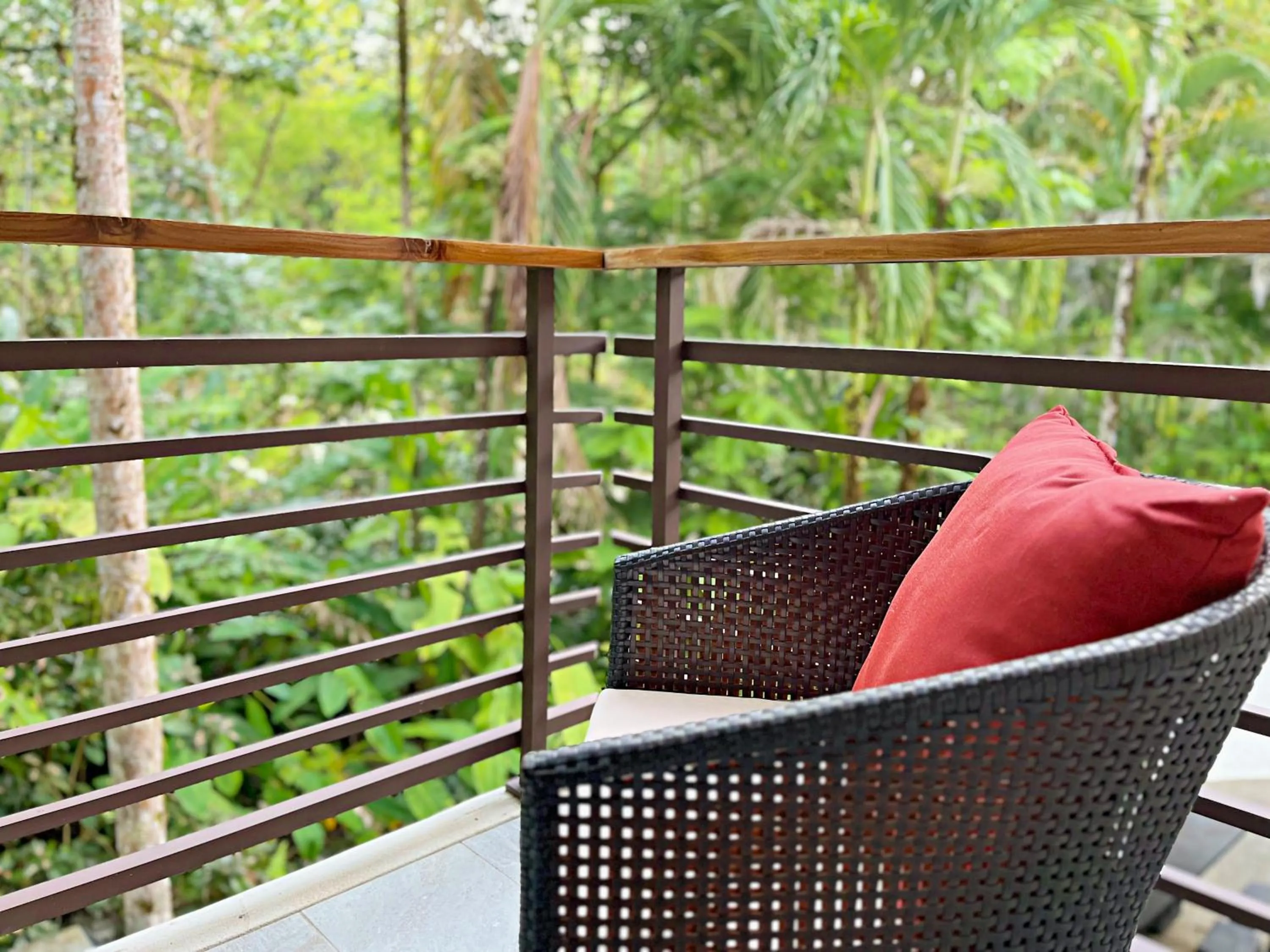 Natural landscape in Elan at Ballena Beach