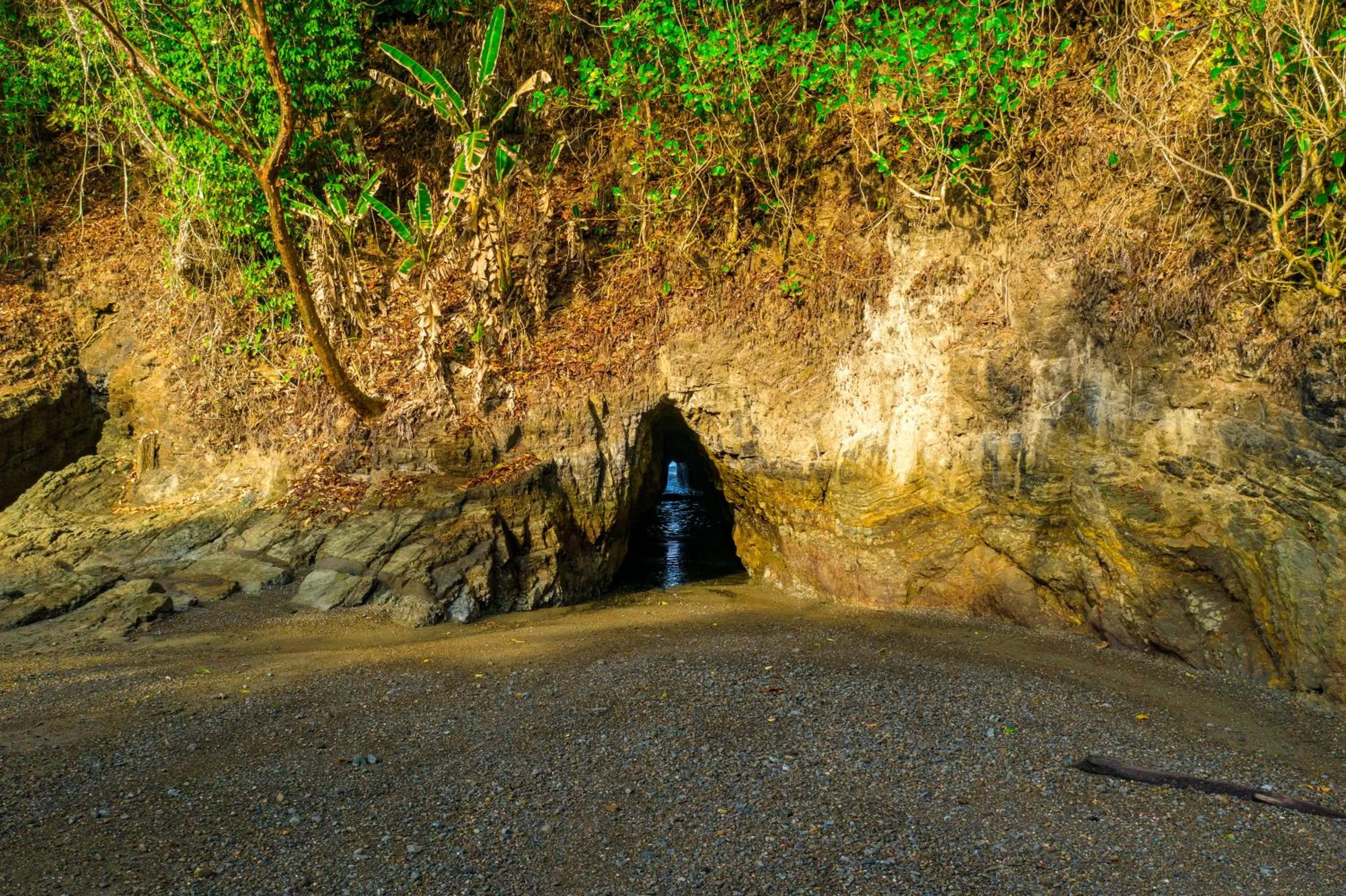 Beach in Elan at Ballena Beach