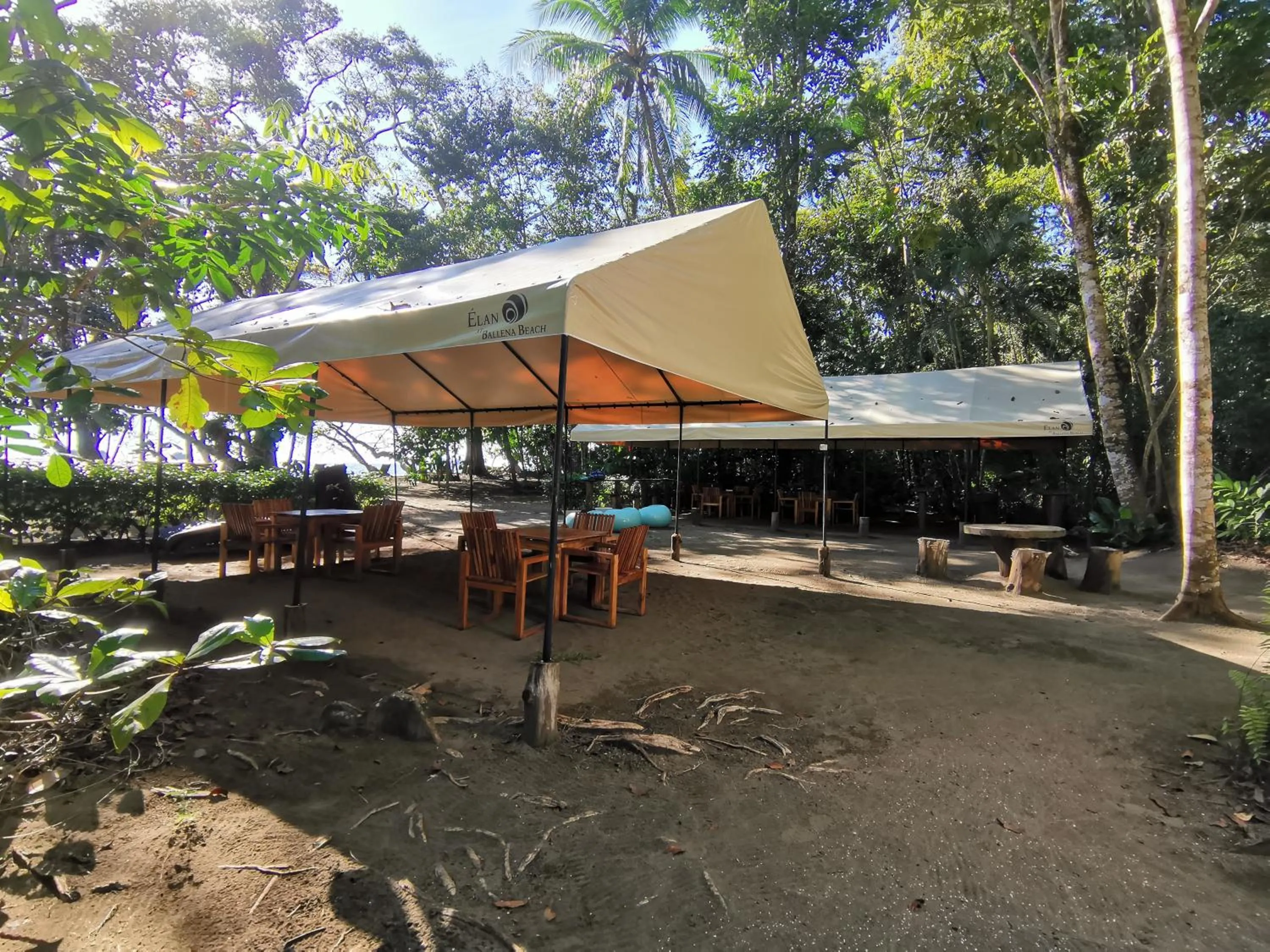 Natural landscape in Elan at Ballena Beach
