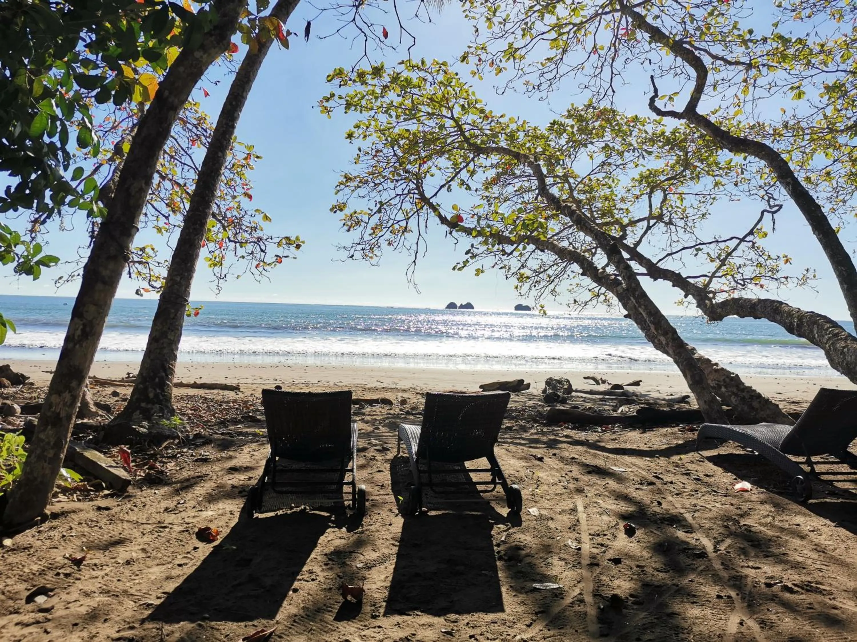 Beach in Elan at Ballena Beach