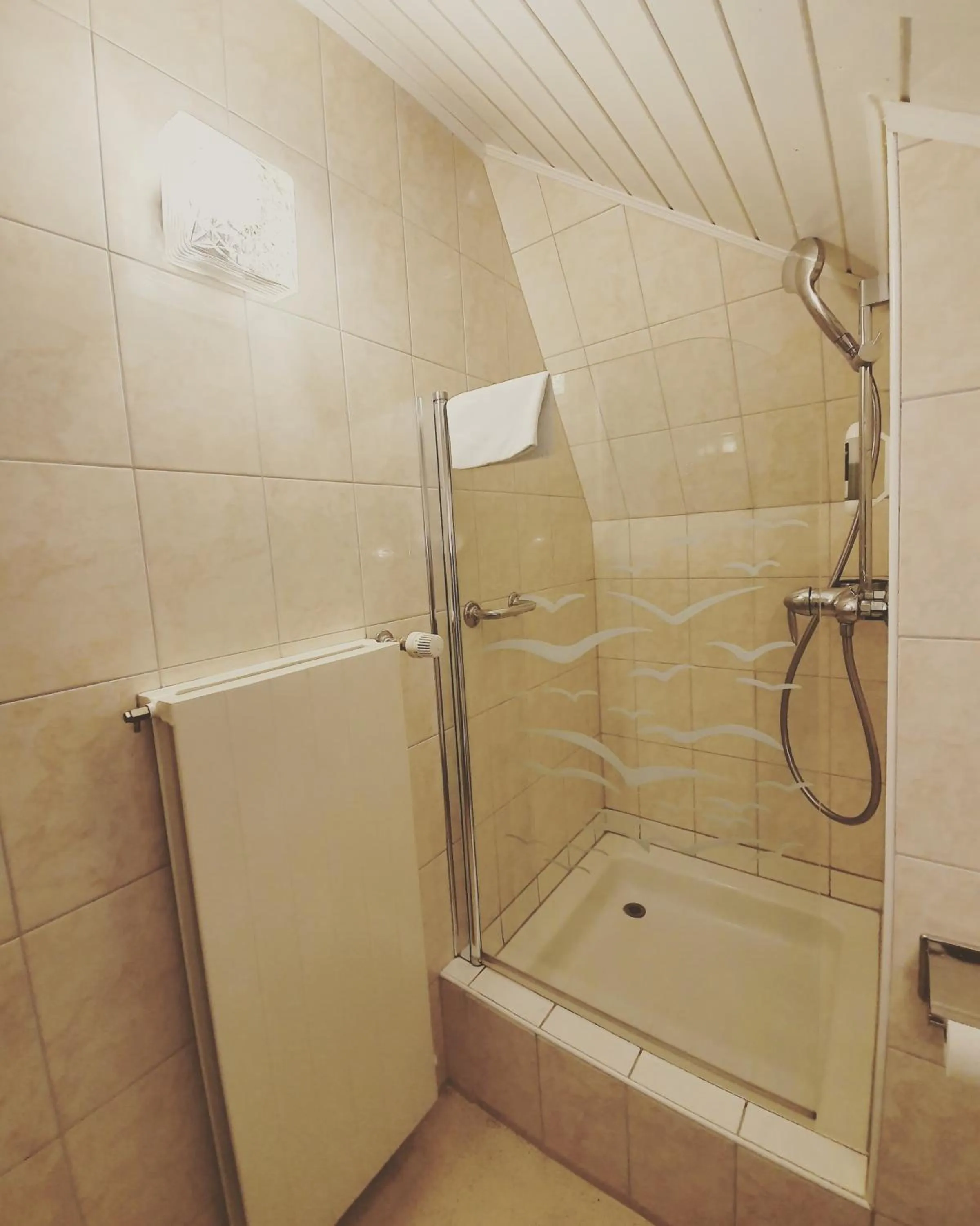 Bathroom in Esos Hotel Quelle